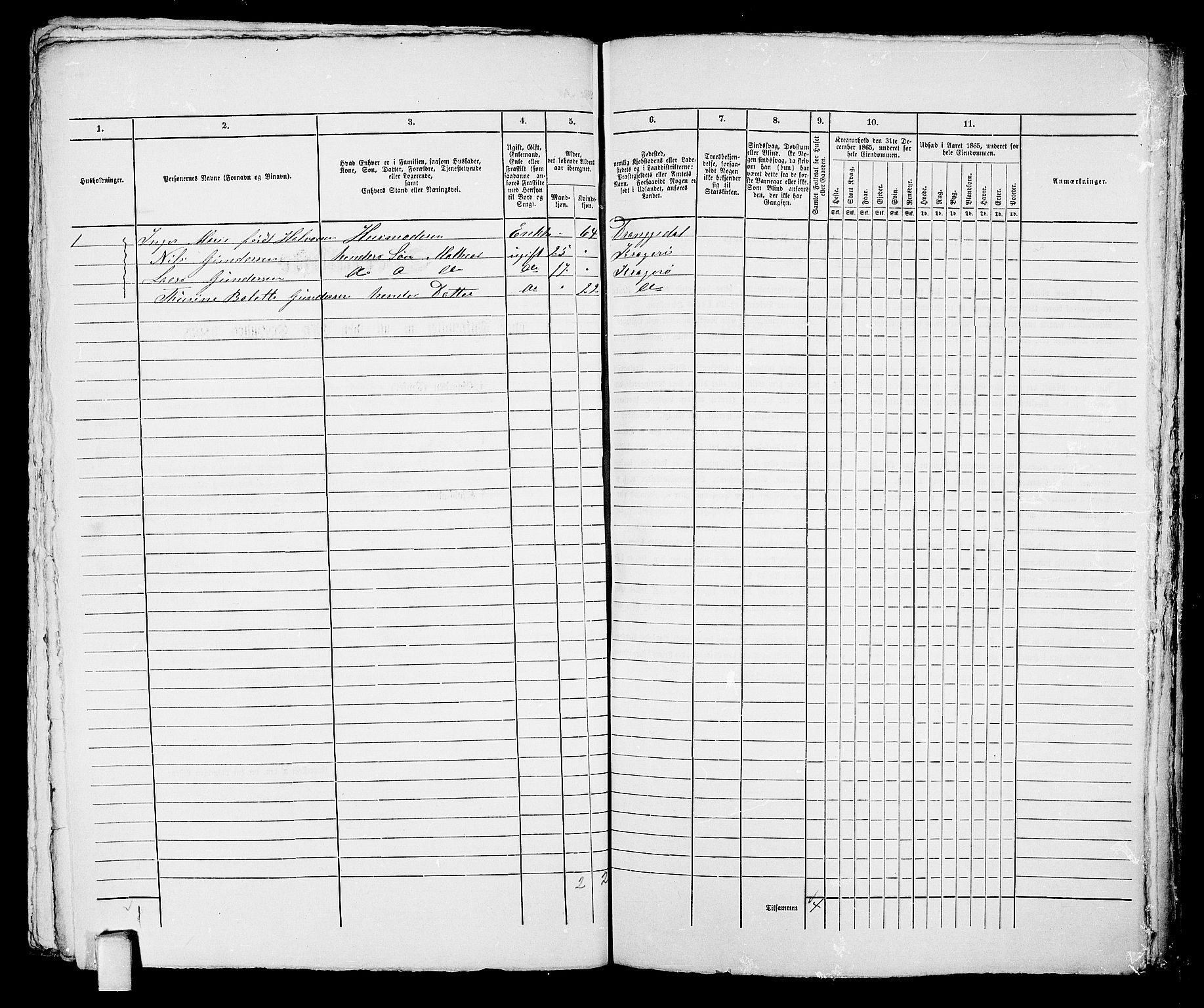 RA, 1865 census for Kragerø/Kragerø, 1865, p. 385