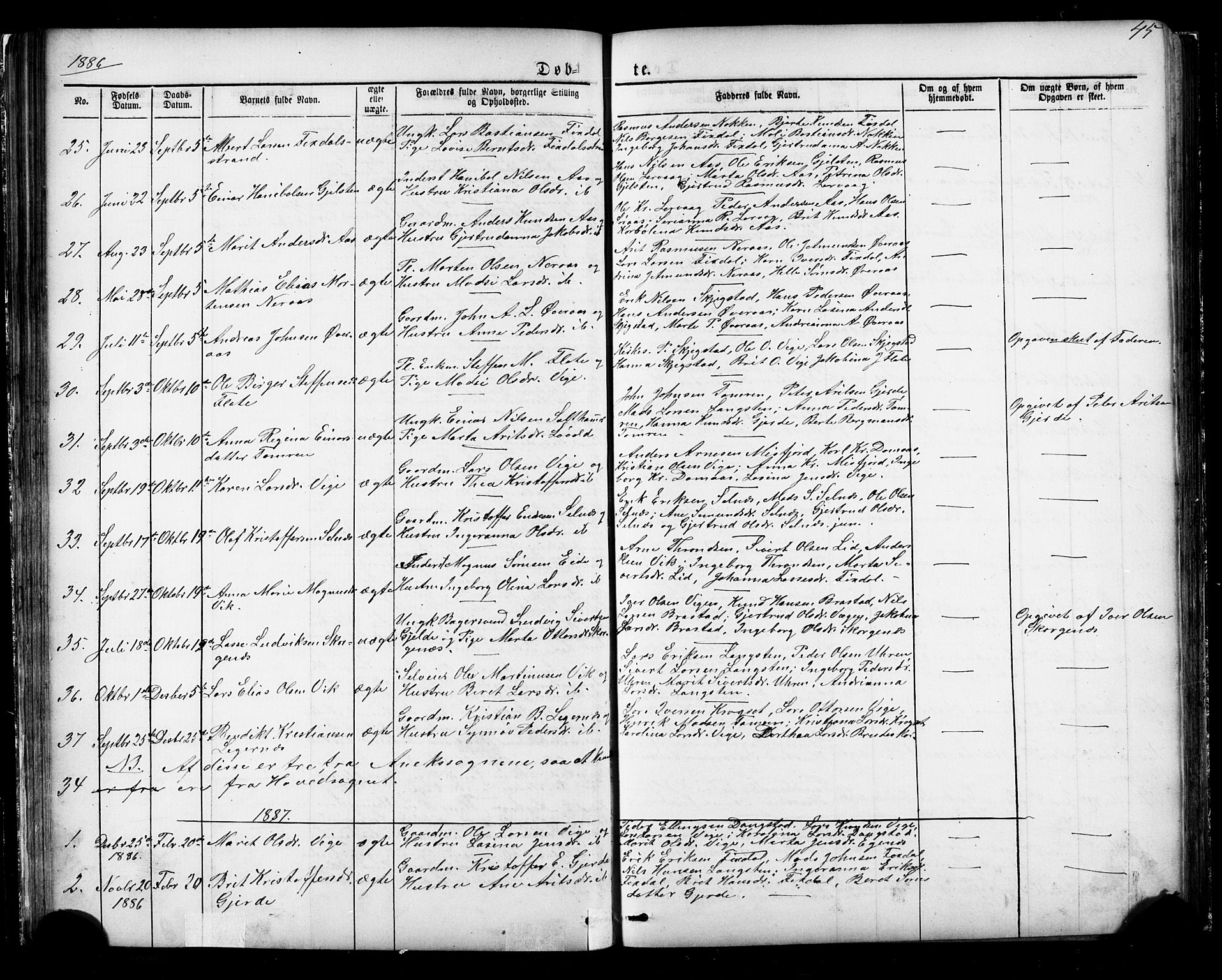 Ministerialprotokoller, klokkerbøker og fødselsregistre - Møre og Romsdal, AV/SAT-A-1454/539/L0536: Parish register (copy) no. 539C02, 1867-1913, p. 45