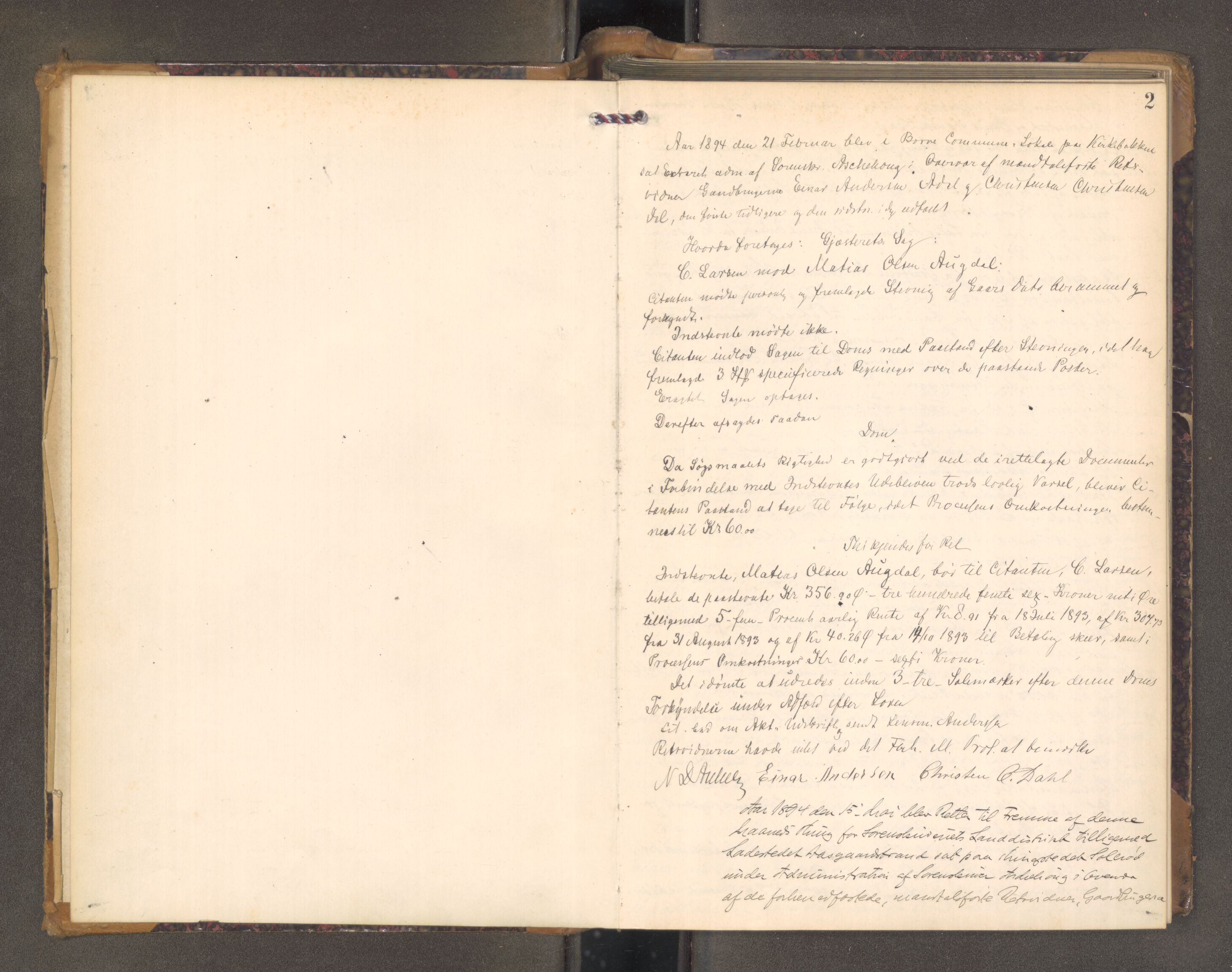 Mellom Jarlsberg sorenskriveri, AV/SAKO-A-132/F/Fa/Faa/L0010: Tingbok, 1894-1897, p. 1b-2a