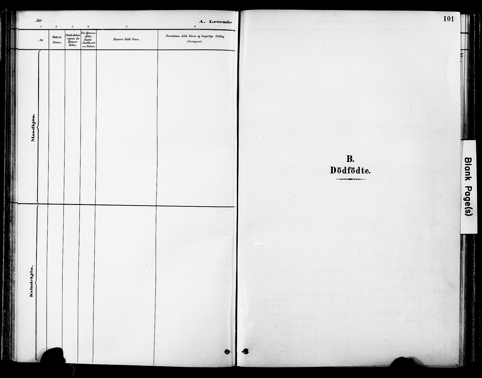 Ministerialprotokoller, klokkerbøker og fødselsregistre - Nord-Trøndelag, SAT/A-1458/755/L0494: Parish register (official) no. 755A03, 1882-1902, p. 101