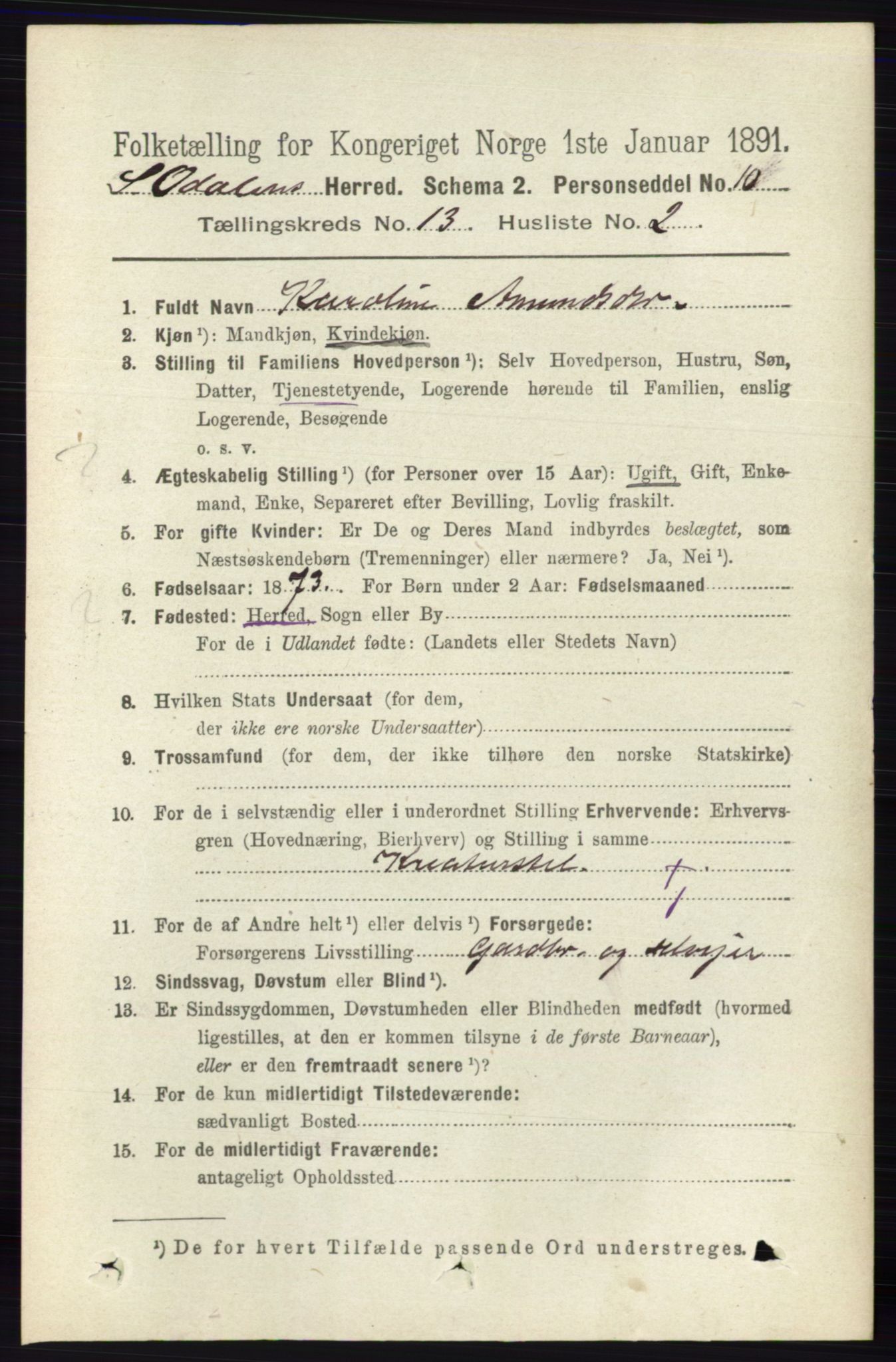 RA, 1891 census for 0419 Sør-Odal, 1891, p. 5578