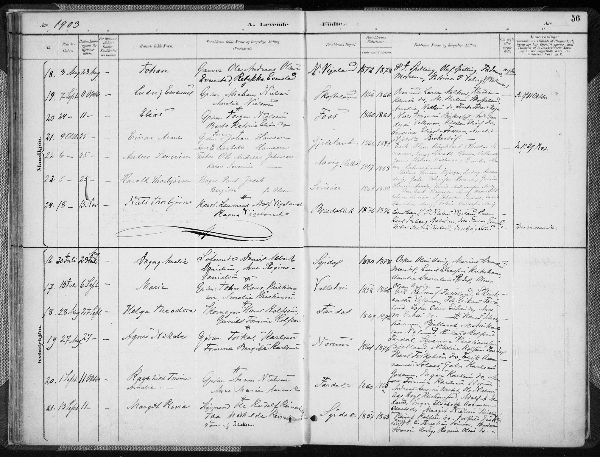 Sør-Audnedal sokneprestkontor, AV/SAK-1111-0039/F/Fa/Fab/L0010: Parish register (official) no. A 10, 1892-1913, p. 56