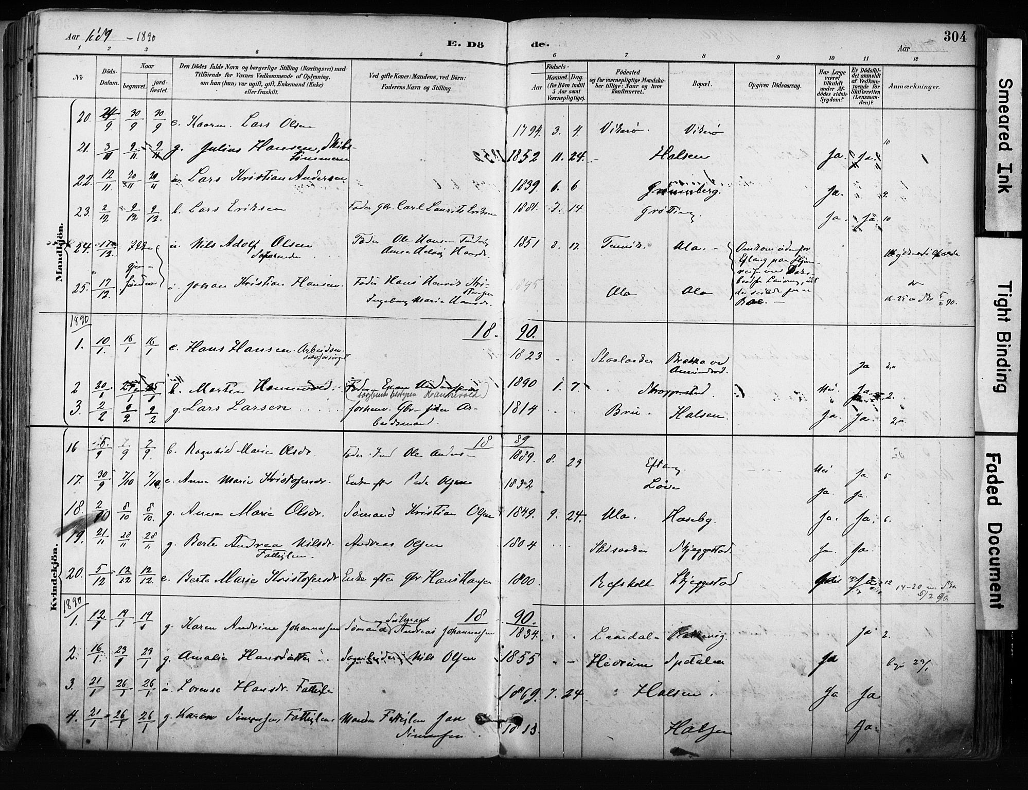 Tjølling kirkebøker, SAKO/A-60/F/Fa/L0009: Parish register (official) no. 9, 1887-1905, p. 304