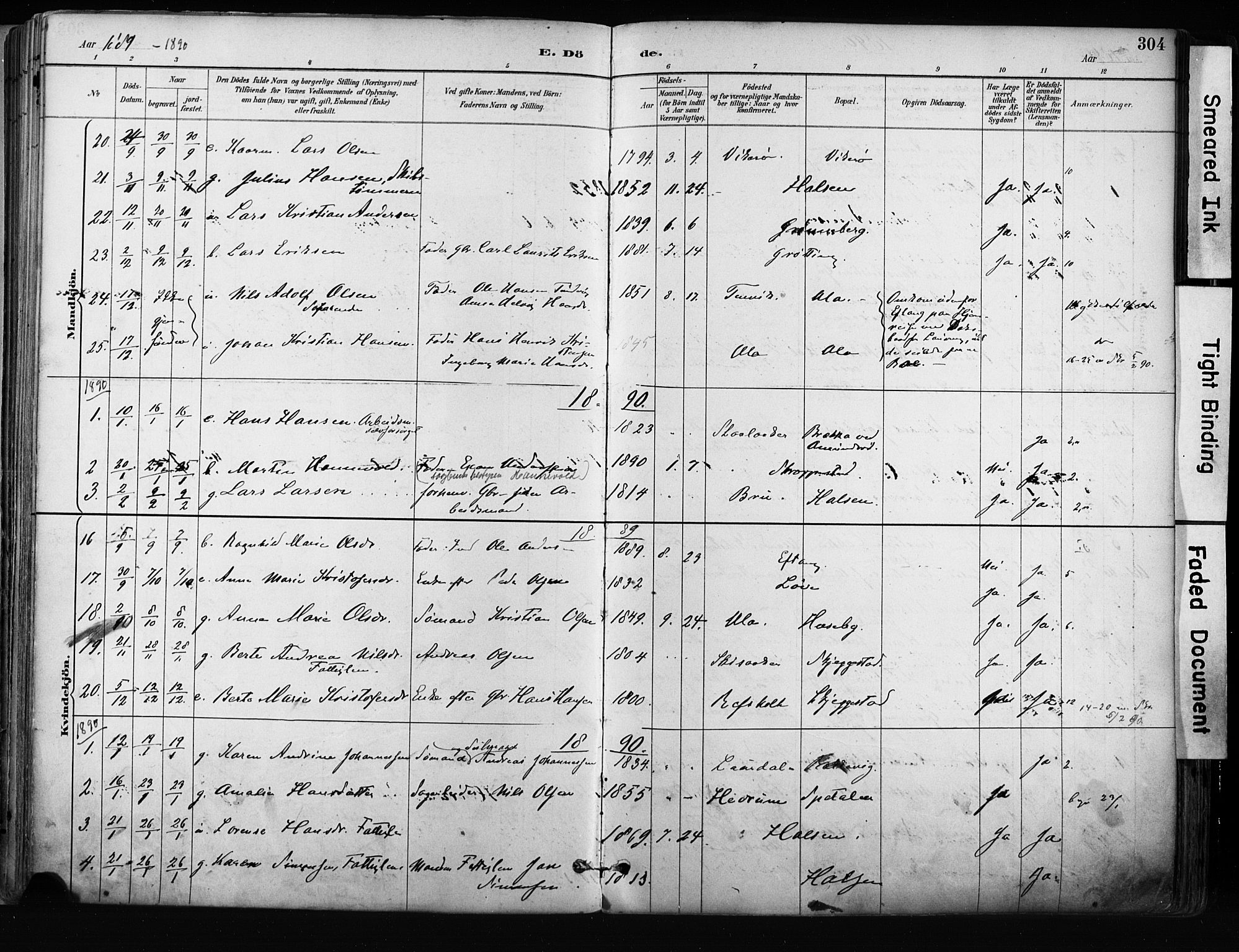 Tjølling kirkebøker, AV/SAKO-A-60/F/Fa/L0009: Parish register (official) no. 9, 1887-1905, p. 304