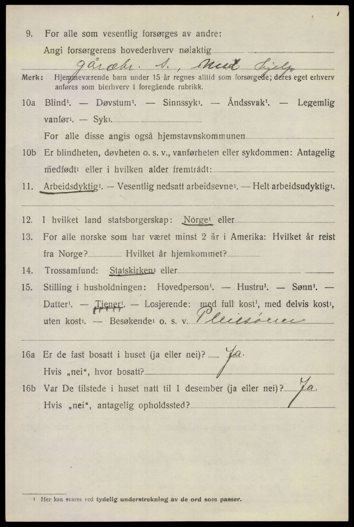 SAO, 1920 census for Nannestad, 1920, p. 1928