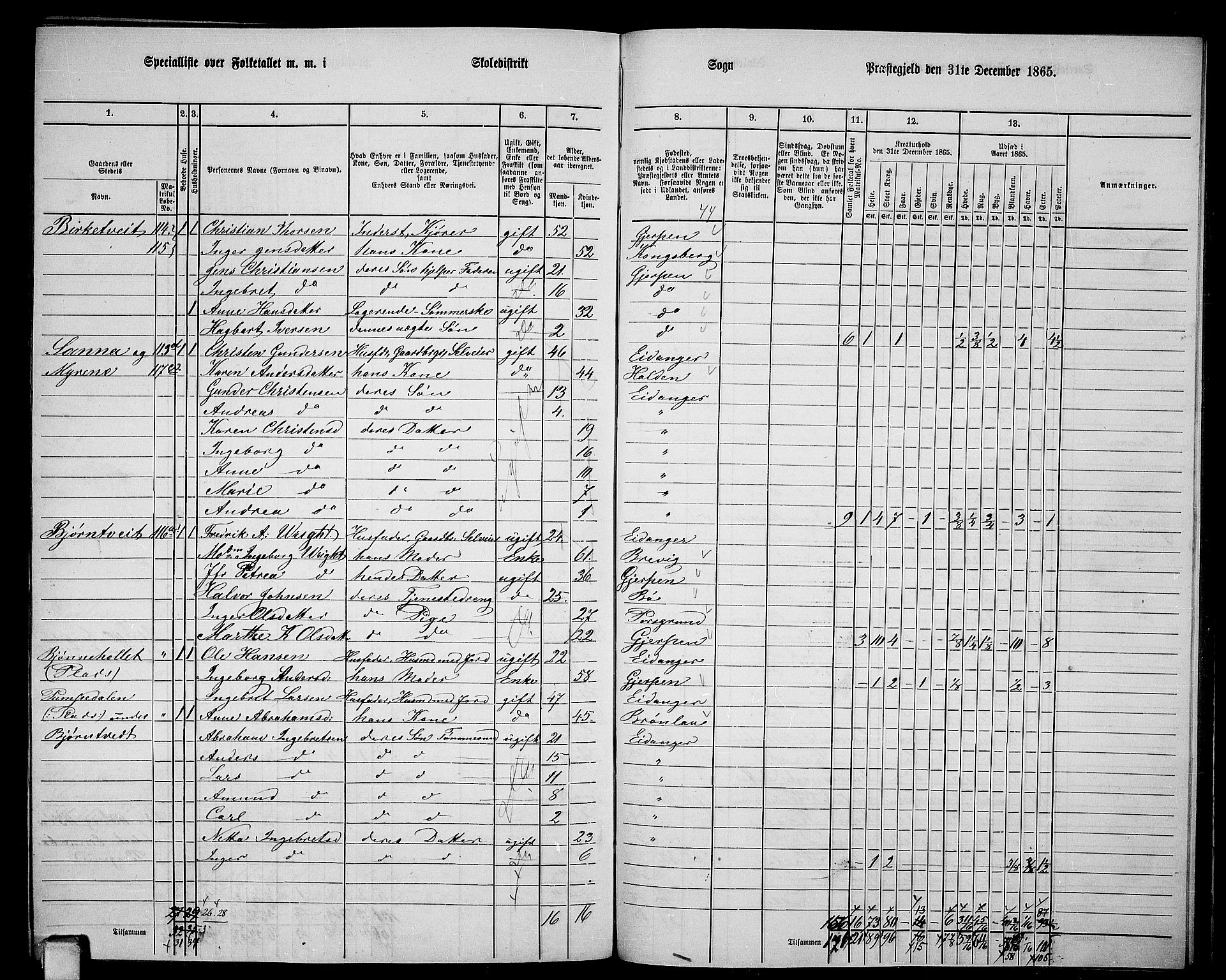 RA, 1865 census for Eidanger, 1865, p. 105