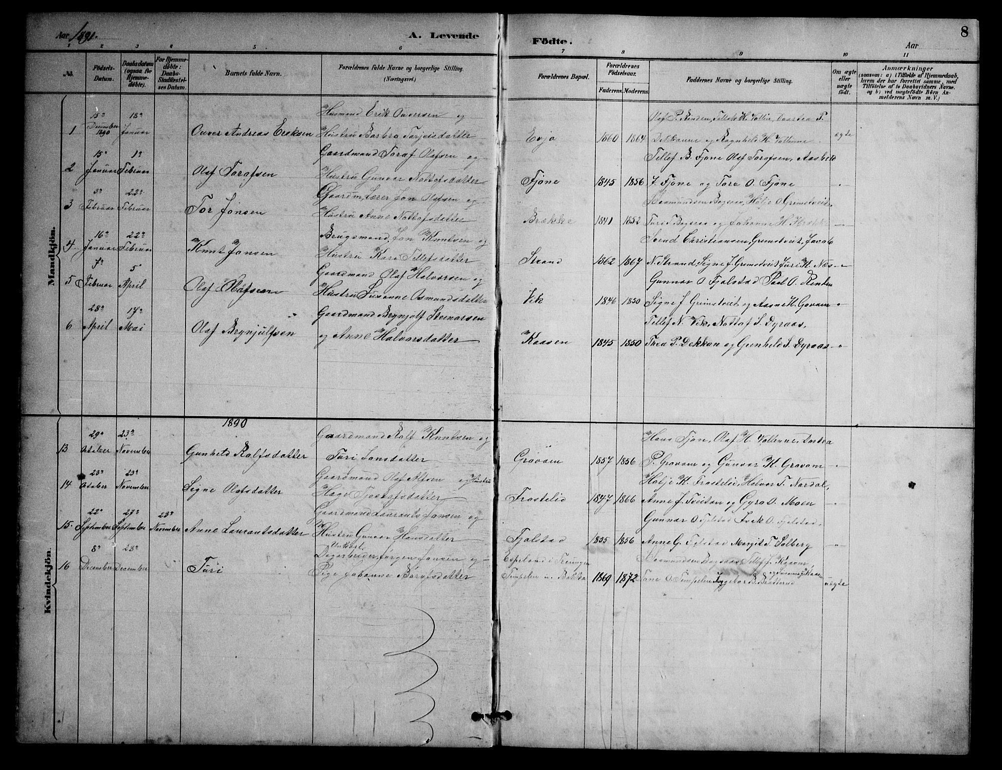 Nissedal kirkebøker, AV/SAKO-A-288/G/Ga/L0003: Parish register (copy) no. I 3, 1887-1911, p. 8