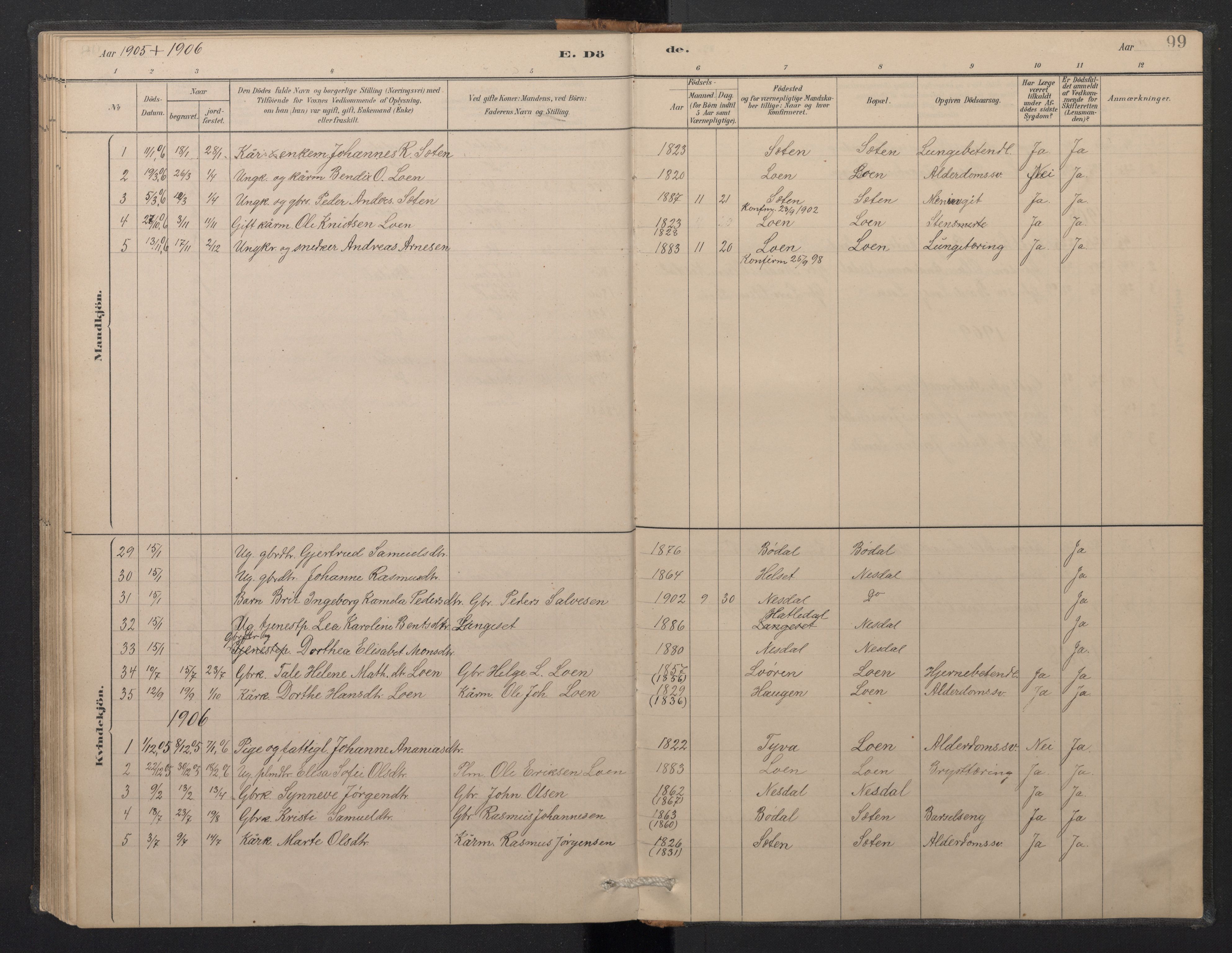 Stryn Sokneprestembete, AV/SAB-A-82501: Parish register (copy) no. B 3, 1881-1918, p. 98b-99a