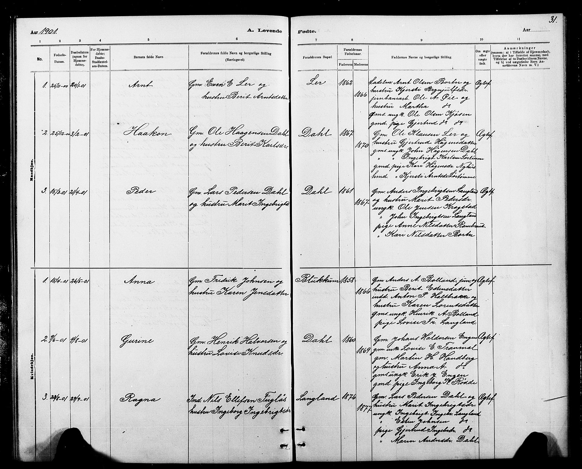 Ministerialprotokoller, klokkerbøker og fødselsregistre - Sør-Trøndelag, SAT/A-1456/693/L1123: Parish register (copy) no. 693C04, 1887-1910, p. 31