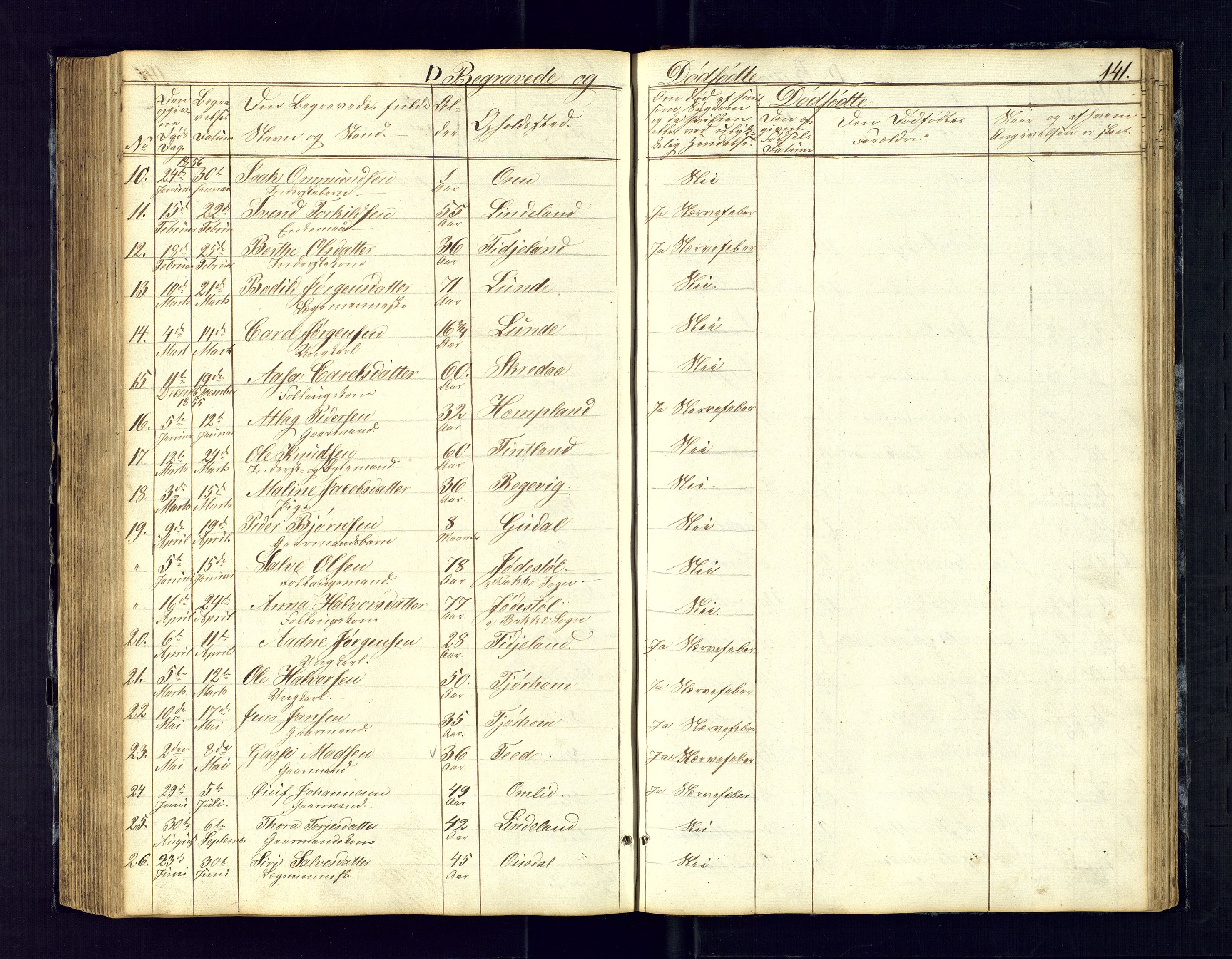 Sirdal sokneprestkontor, SAK/1111-0036/F/Fb/Fbb/L0002: Parish register (copy) no. B-2, 1848-1878, p. 141