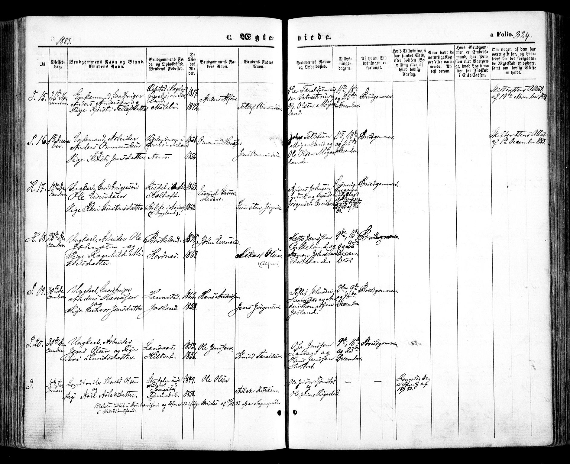 Evje sokneprestkontor, SAK/1111-0008/F/Fa/Faa/L0006: Parish register (official) no. A 6, 1866-1884, p. 324