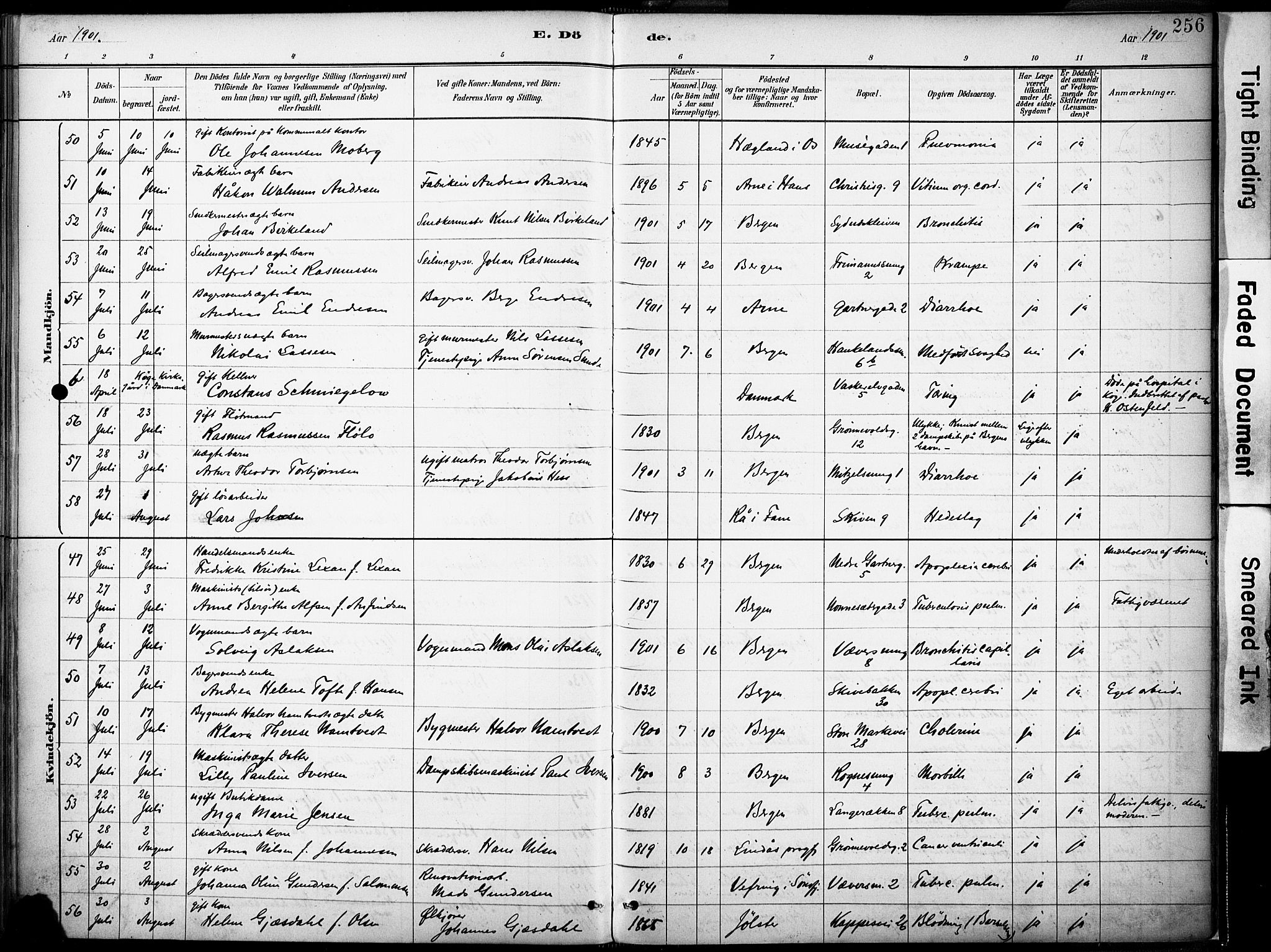 Domkirken sokneprestembete, AV/SAB-A-74801/H/Haa/L0043: Parish register (official) no. E 5, 1882-1904, p. 256