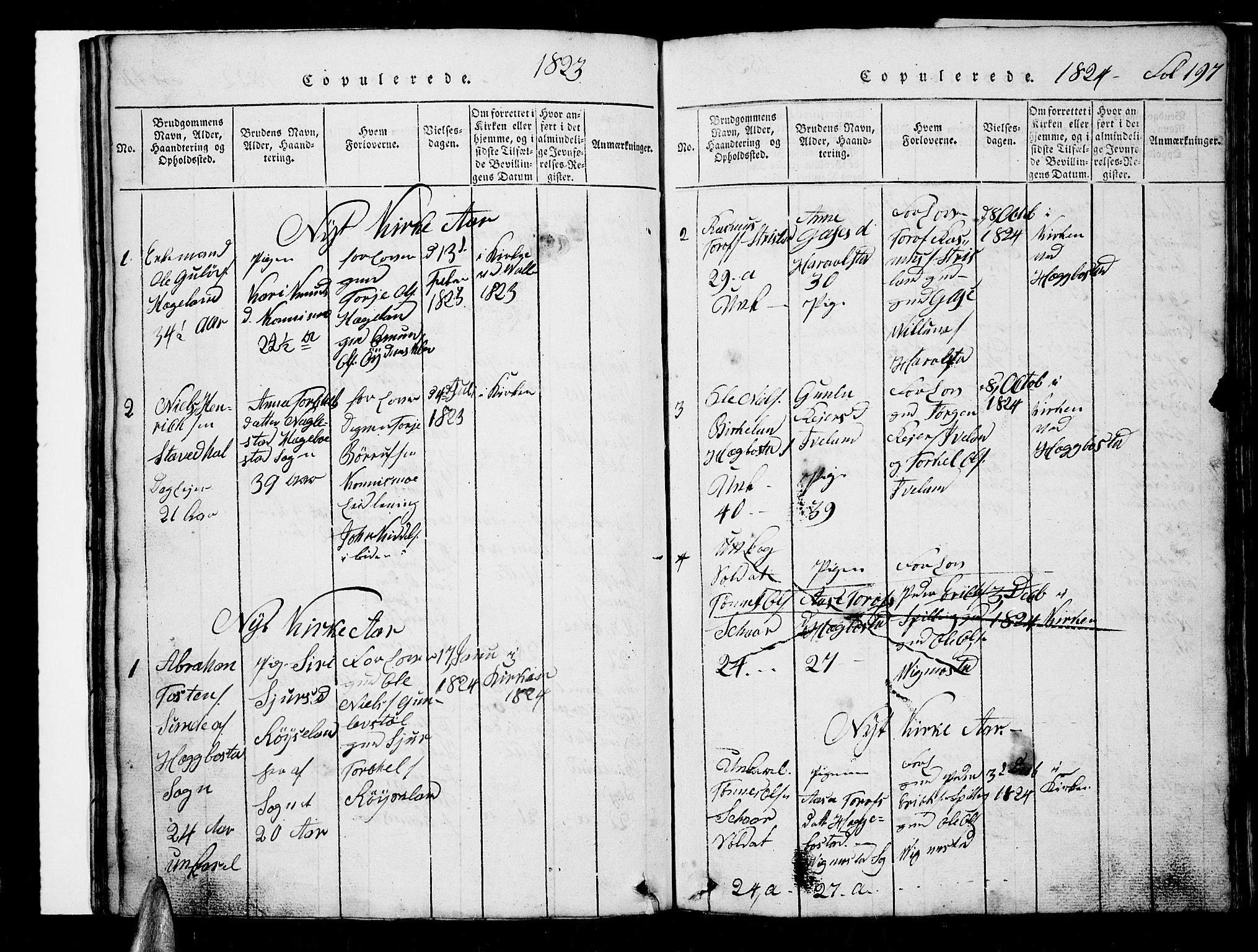 Nord-Audnedal sokneprestkontor, SAK/1111-0032/F/Fb/Fba/L0001: Parish register (copy) no. B 1, 1815-1856, p. 197