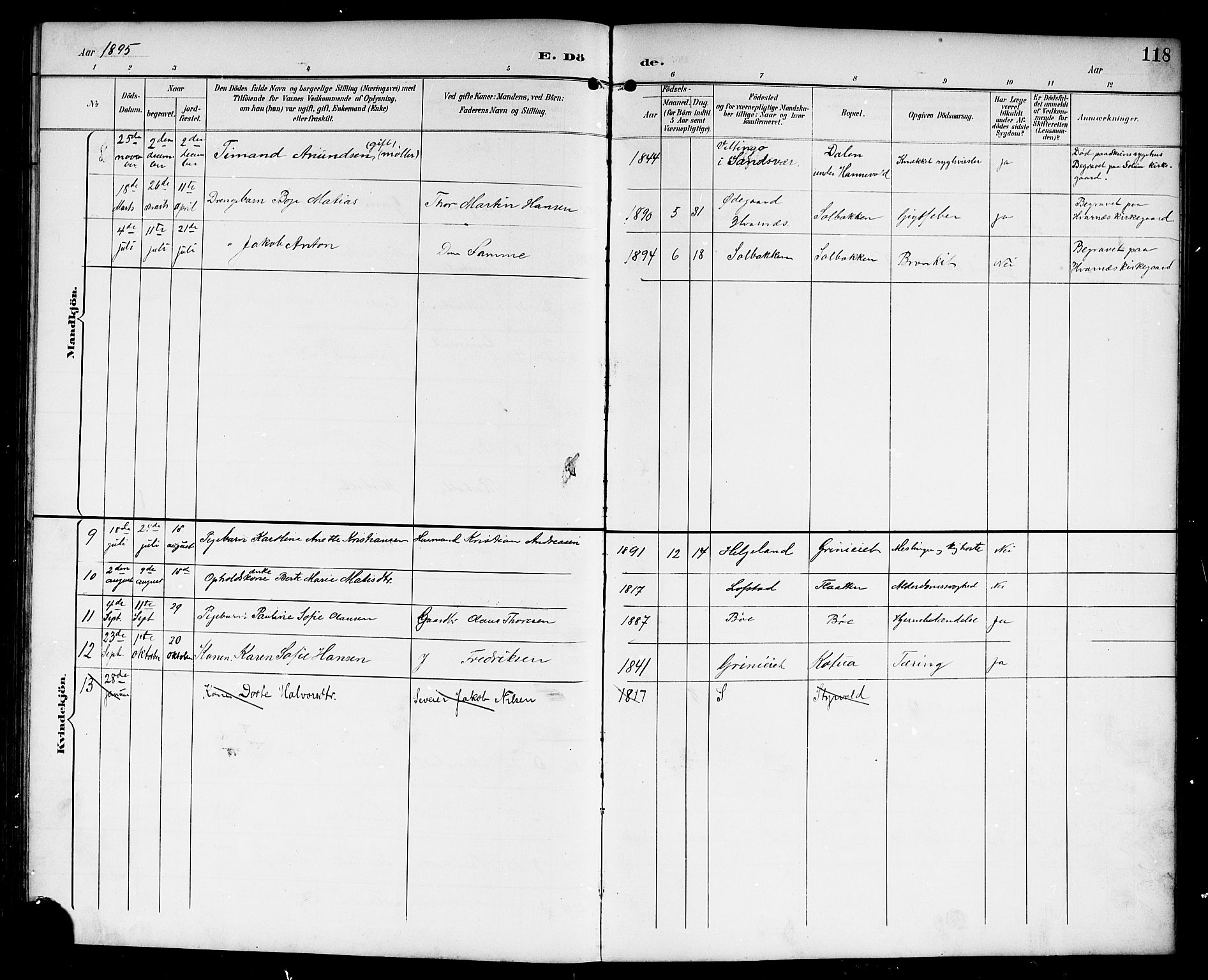 Lardal kirkebøker, AV/SAKO-A-350/G/Gc/L0002: Parish register (copy) no. III 2, 1894-1918, p. 118