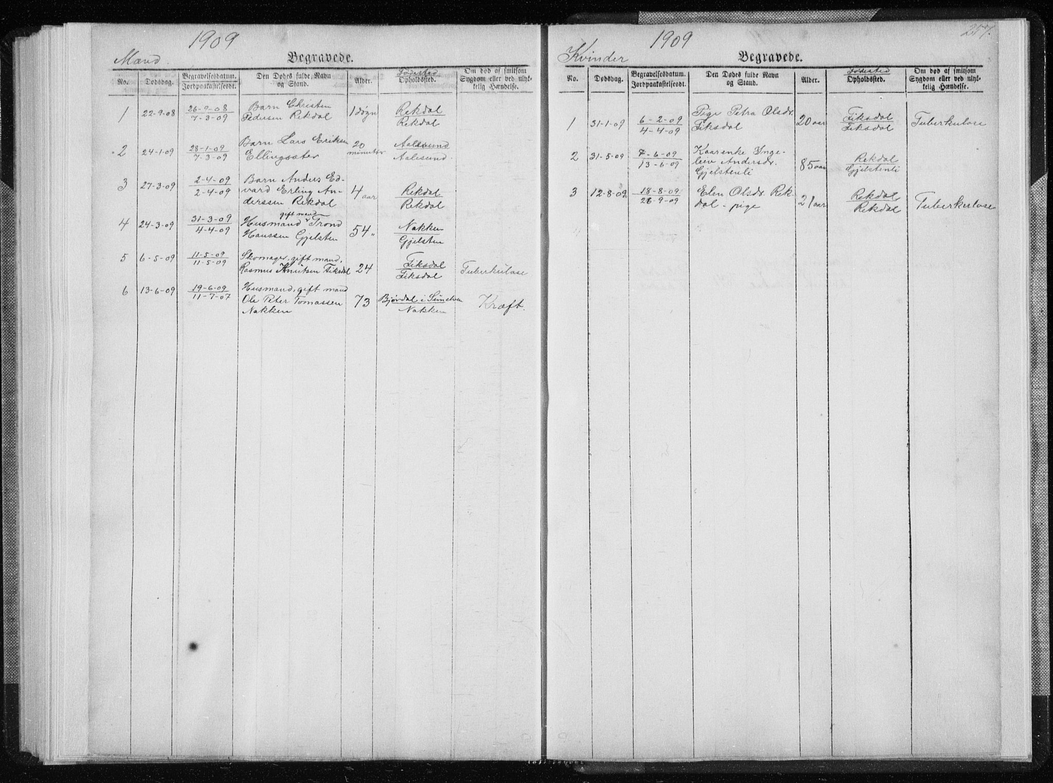 Ministerialprotokoller, klokkerbøker og fødselsregistre - Møre og Romsdal, SAT/A-1454/540/L0541: Parish register (copy) no. 540C01, 1867-1920, p. 257