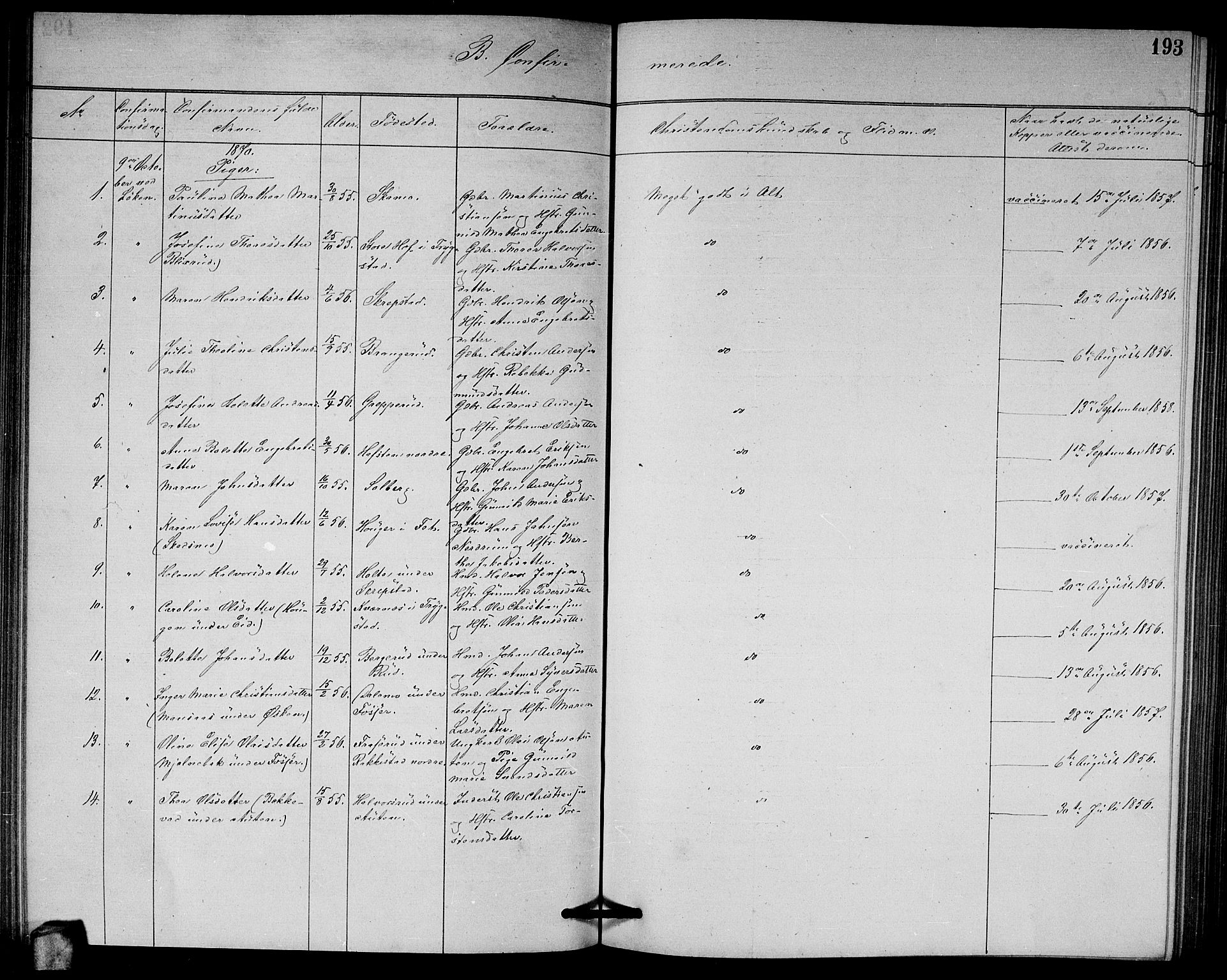 Høland prestekontor Kirkebøker, AV/SAO-A-10346a/G/Ga/L0006: Parish register (copy) no. I 6, 1869-1879, p. 193