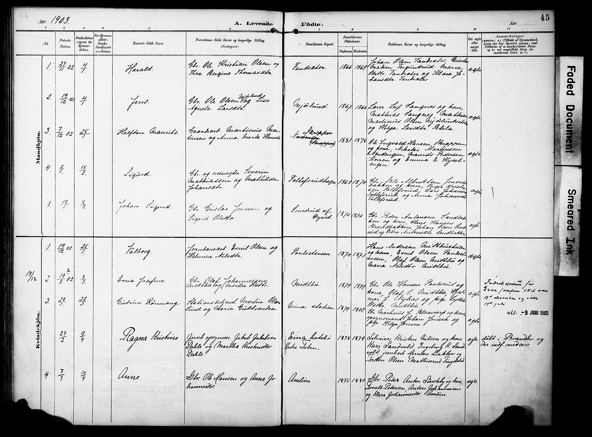 Vestre Toten prestekontor, AV/SAH-PREST-108/H/Ha/Haa/L0012: Parish register (official) no. 12, 1890-1906, p. 45