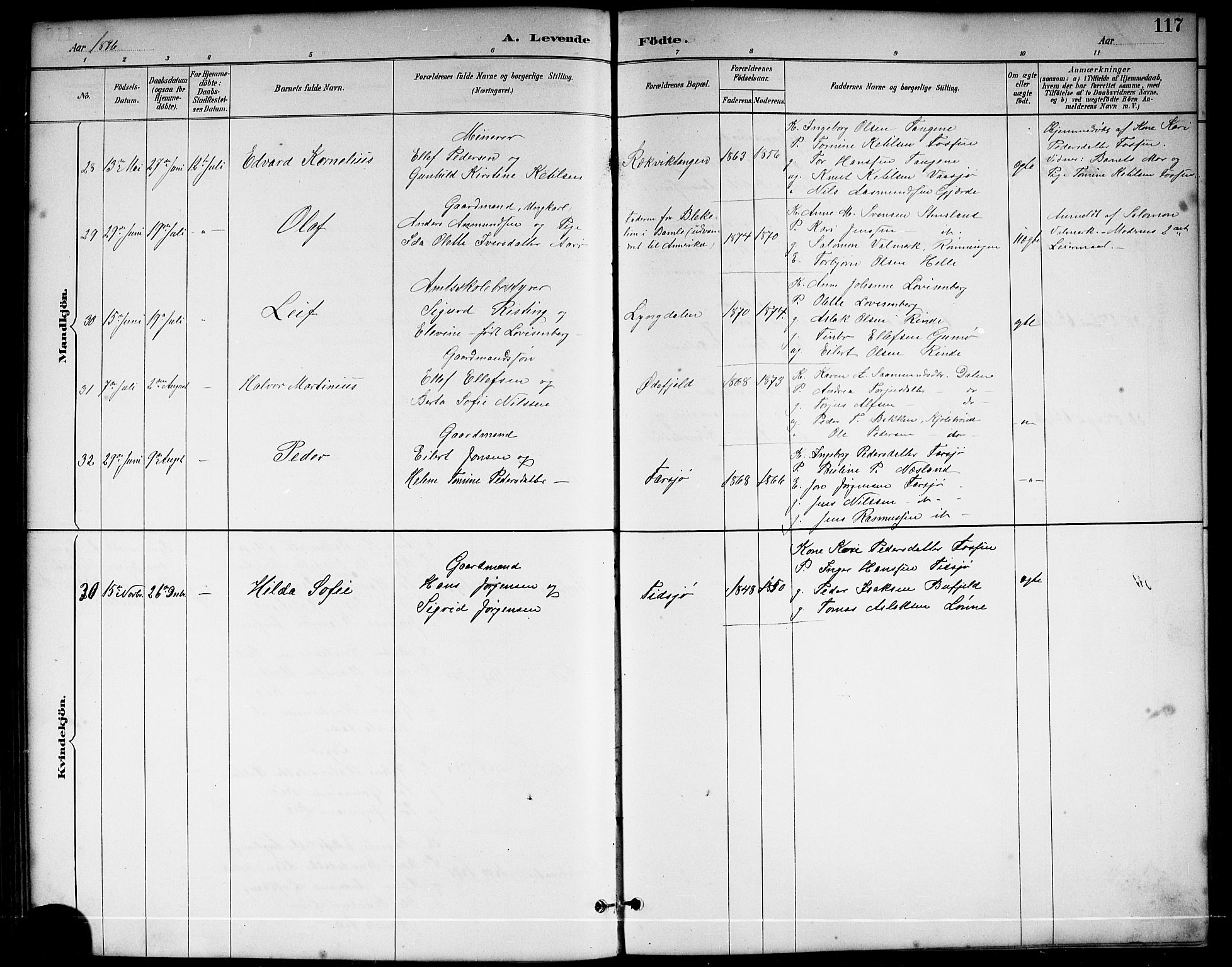 Sannidal kirkebøker, AV/SAKO-A-296/G/Ga/L0003: Parish register (copy) no. 3, 1887-1922, p. 117