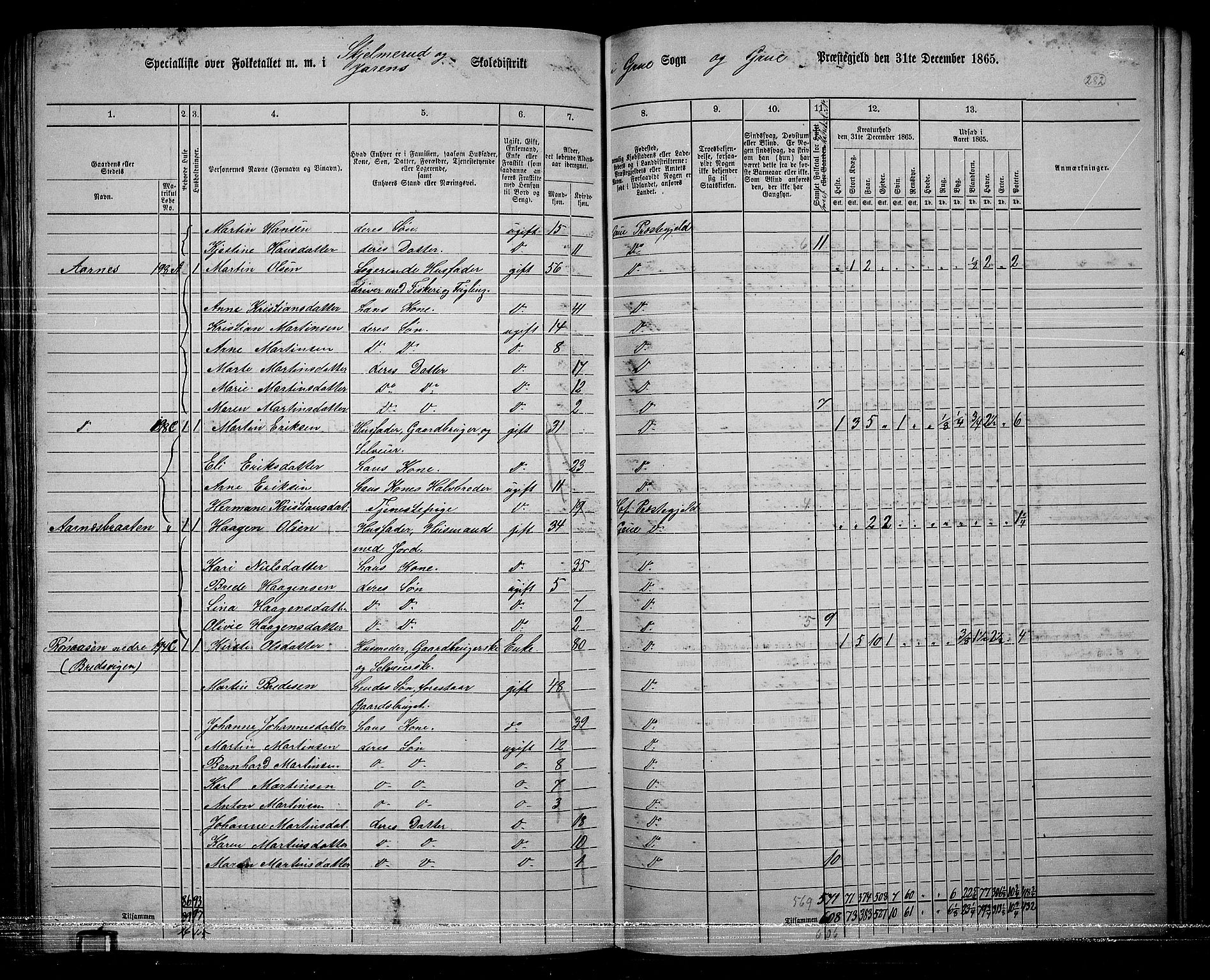 RA, 1865 census for Grue, 1865, p. 251