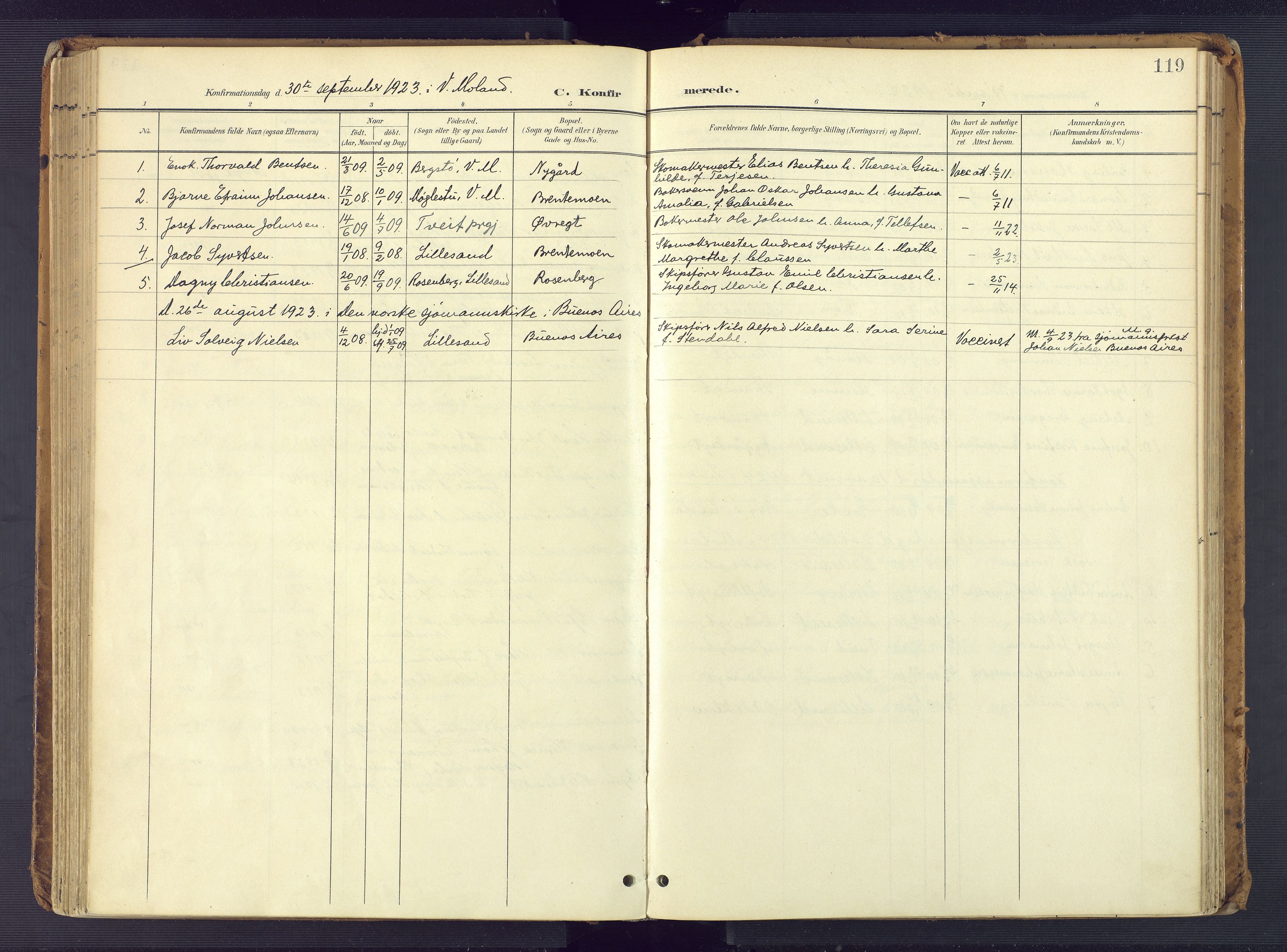 Vestre Moland sokneprestkontor, AV/SAK-1111-0046/F/Fa/Faa/L0002: Parish register (official) no. A 2, 1900-1926, p. 119