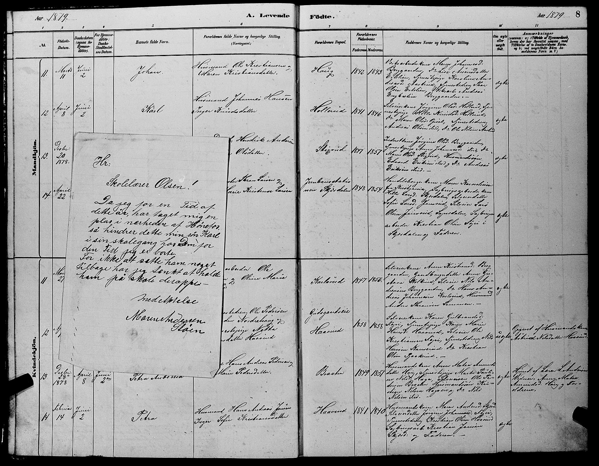 Hole kirkebøker, AV/SAKO-A-228/G/Gb/L0002: Parish register (copy) no. II 2, 1878-1889, p. 8