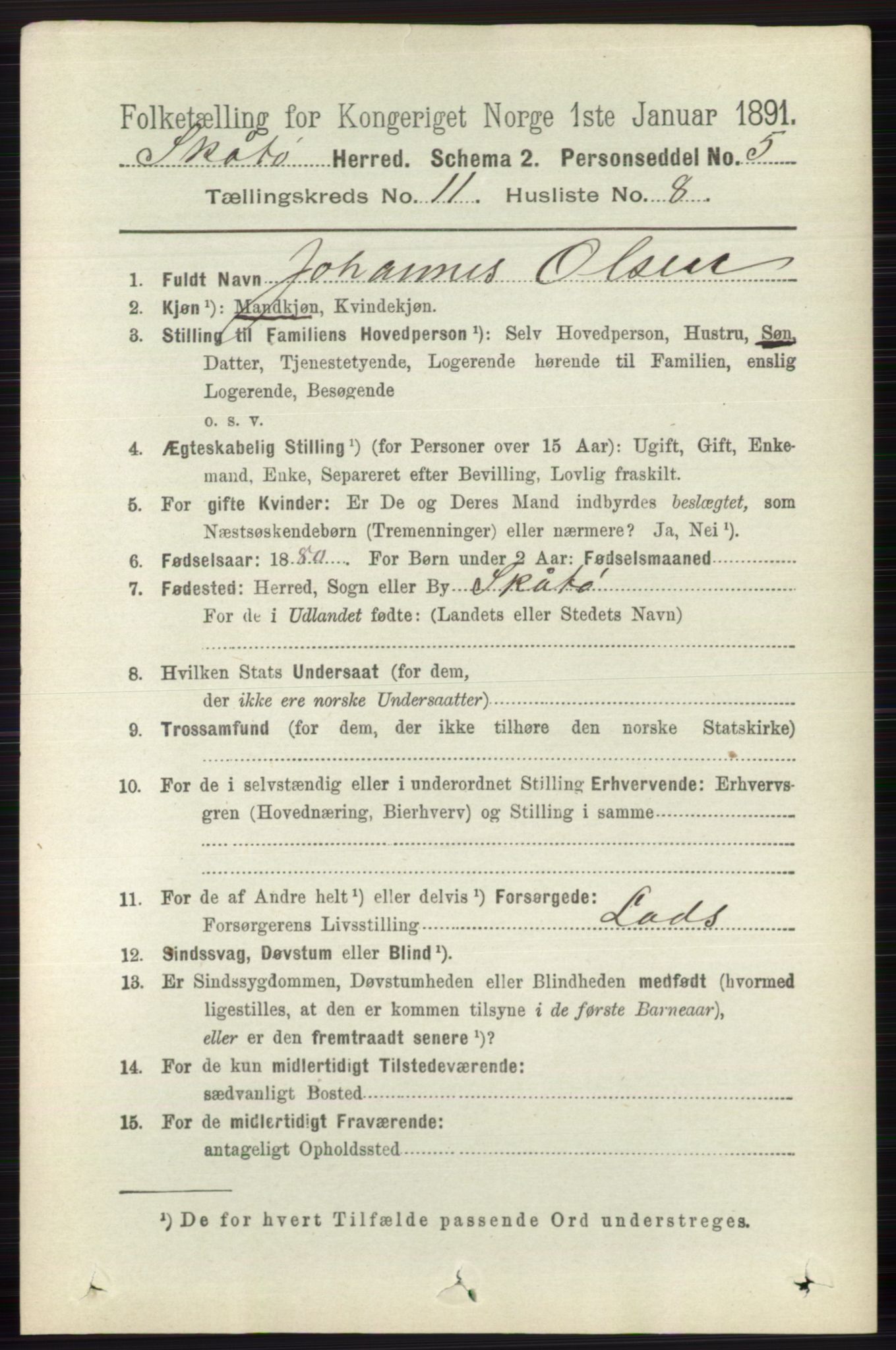 RA, 1891 census for 0815 Skåtøy, 1891, p. 4270