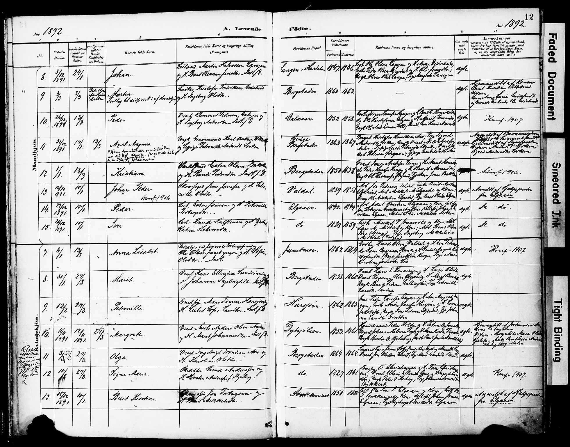 Ministerialprotokoller, klokkerbøker og fødselsregistre - Sør-Trøndelag, SAT/A-1456/681/L0935: Parish register (official) no. 681A13, 1890-1898, p. 12