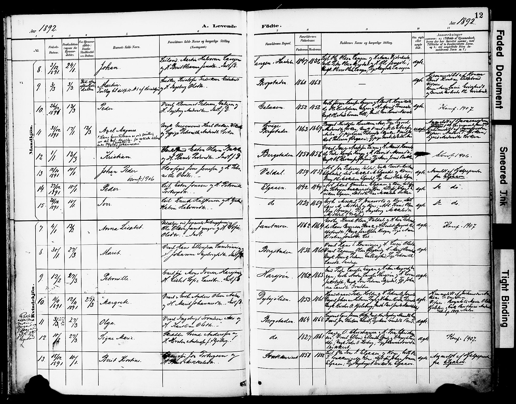 Ministerialprotokoller, klokkerbøker og fødselsregistre - Sør-Trøndelag, AV/SAT-A-1456/681/L0935: Parish register (official) no. 681A13, 1890-1898, p. 12