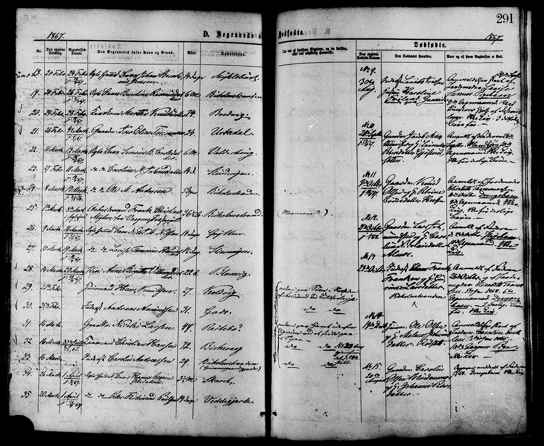 Ministerialprotokoller, klokkerbøker og fødselsregistre - Møre og Romsdal, AV/SAT-A-1454/528/L0399: Parish register (official) no. 528A10, 1864-1879, p. 291