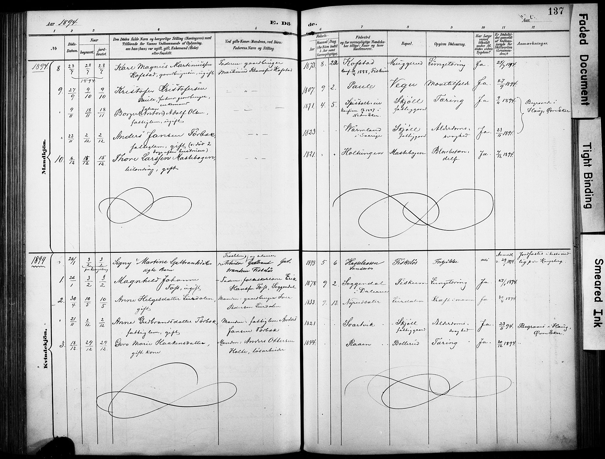 Fiskum kirkebøker, AV/SAKO-A-15/F/Fa/L0003: Parish register (official) no. 3, 1890-1905, p. 137