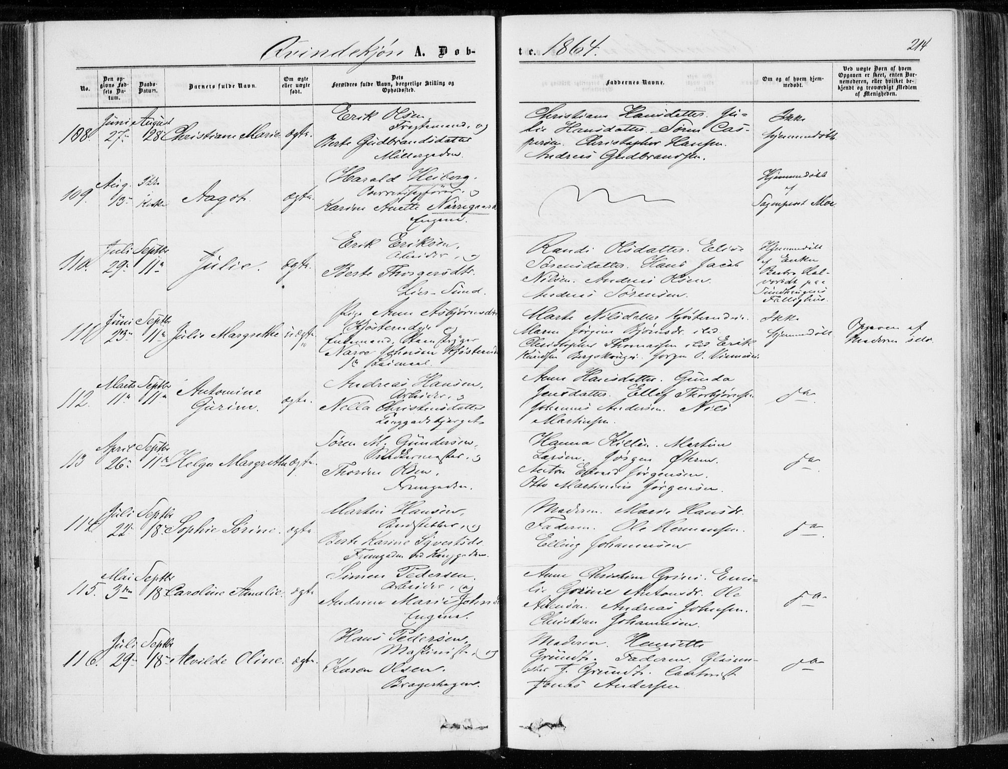 Bragernes kirkebøker, AV/SAKO-A-6/F/Fb/L0003: Parish register (official) no. II 3, 1860-1868, p. 214