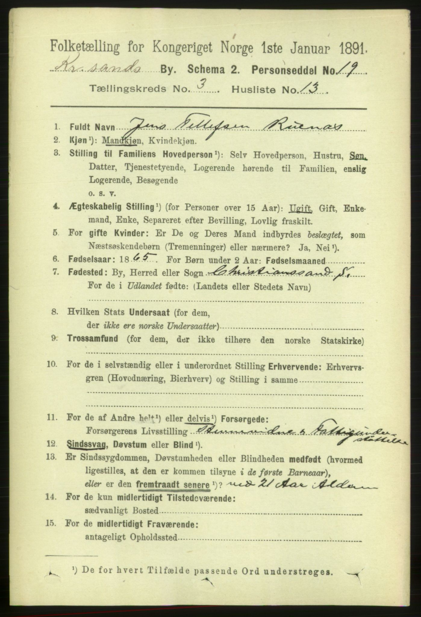 RA, 1891 census for 1001 Kristiansand, 1891, p. 3511