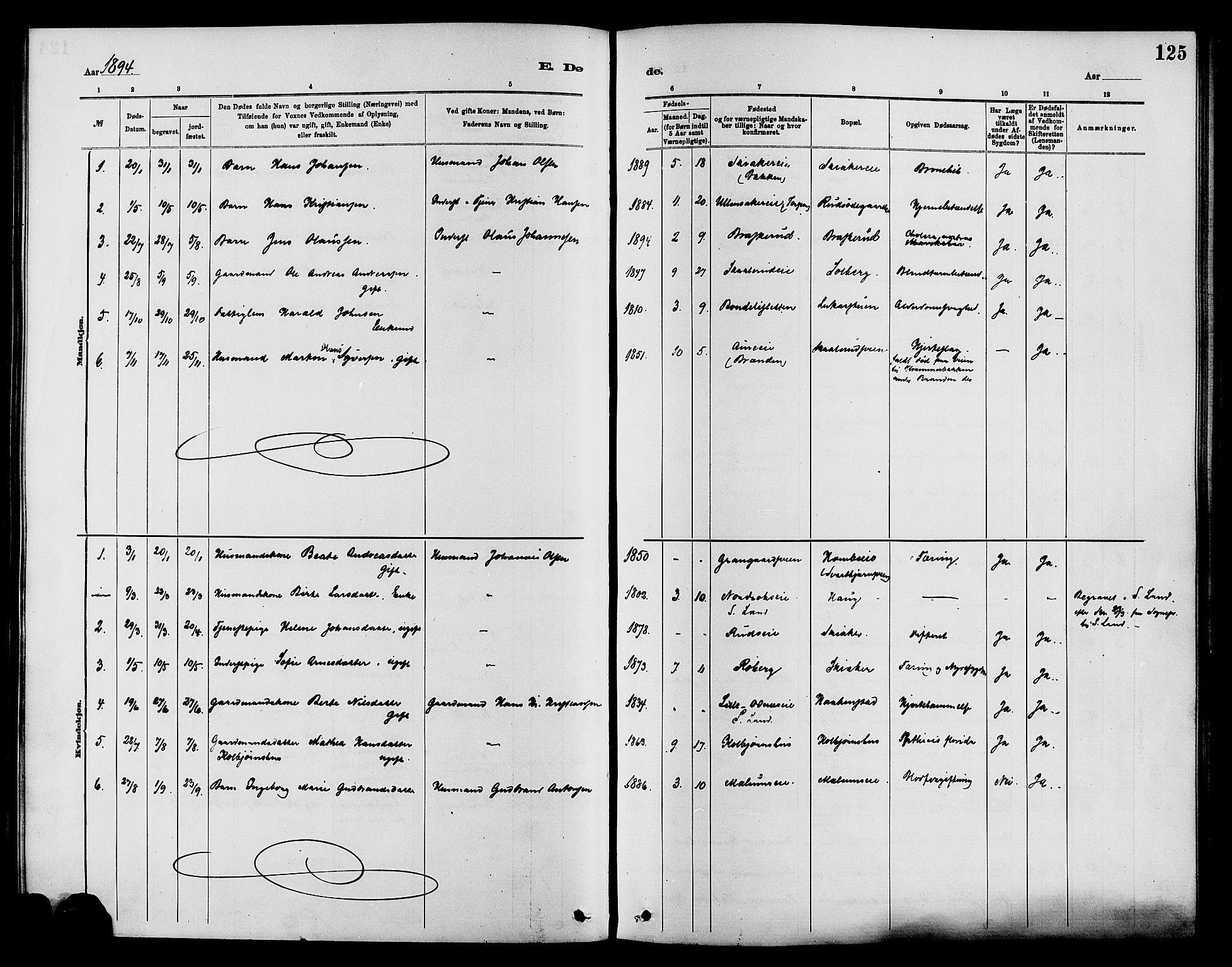 Nordre Land prestekontor, SAH/PREST-124/H/Ha/Haa/L0003: Parish register (official) no. 3, 1882-1896, p. 125