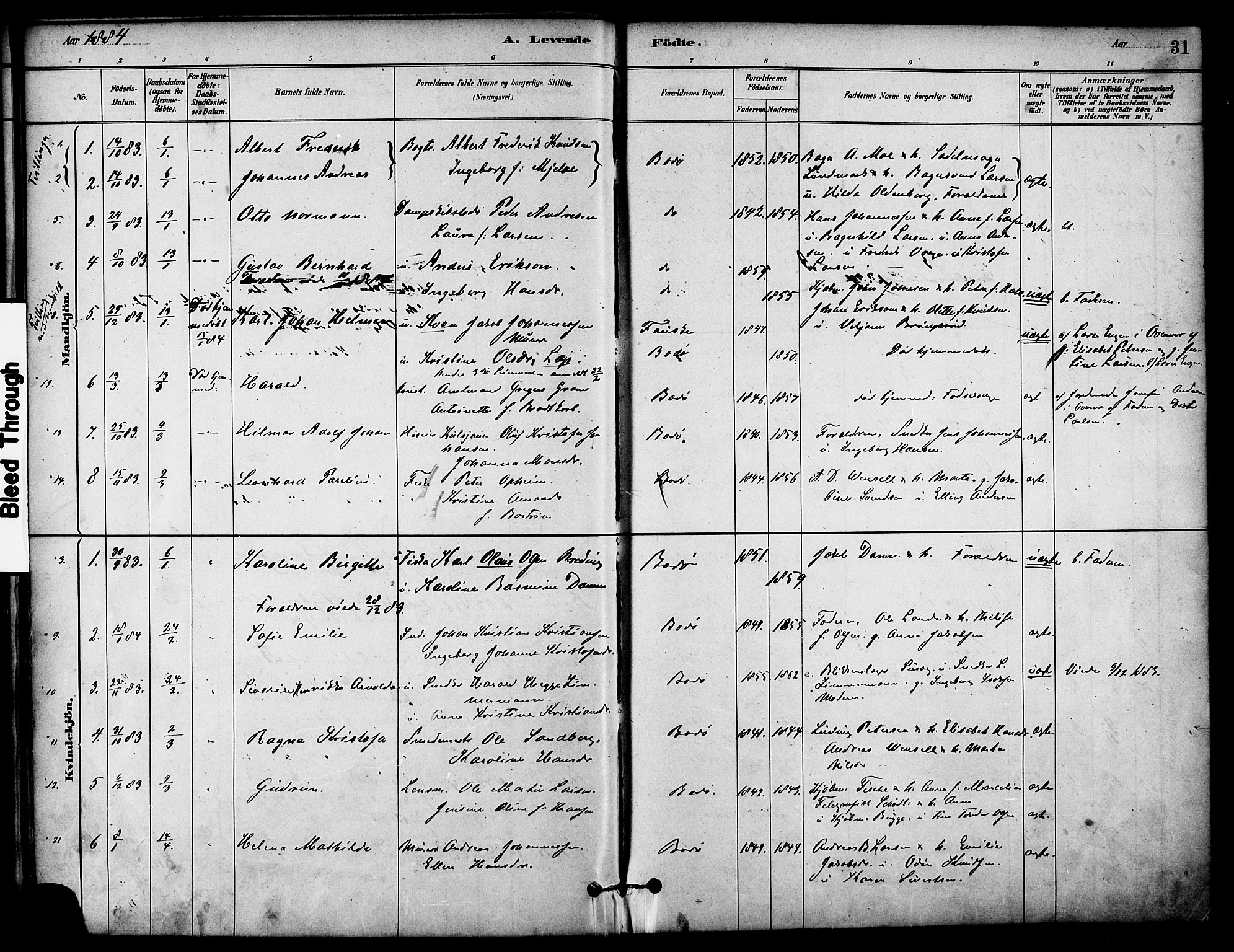 Ministerialprotokoller, klokkerbøker og fødselsregistre - Nordland, SAT/A-1459/801/L0030: Parish register (copy) no. 801C05, 1879-1887, p. 31
