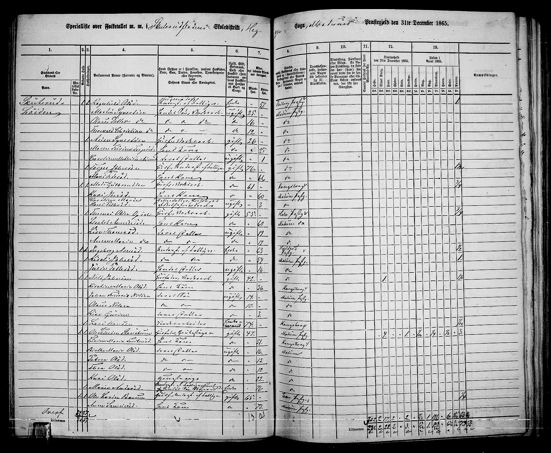 RA, 1865 census for Modum, 1865, p. 222