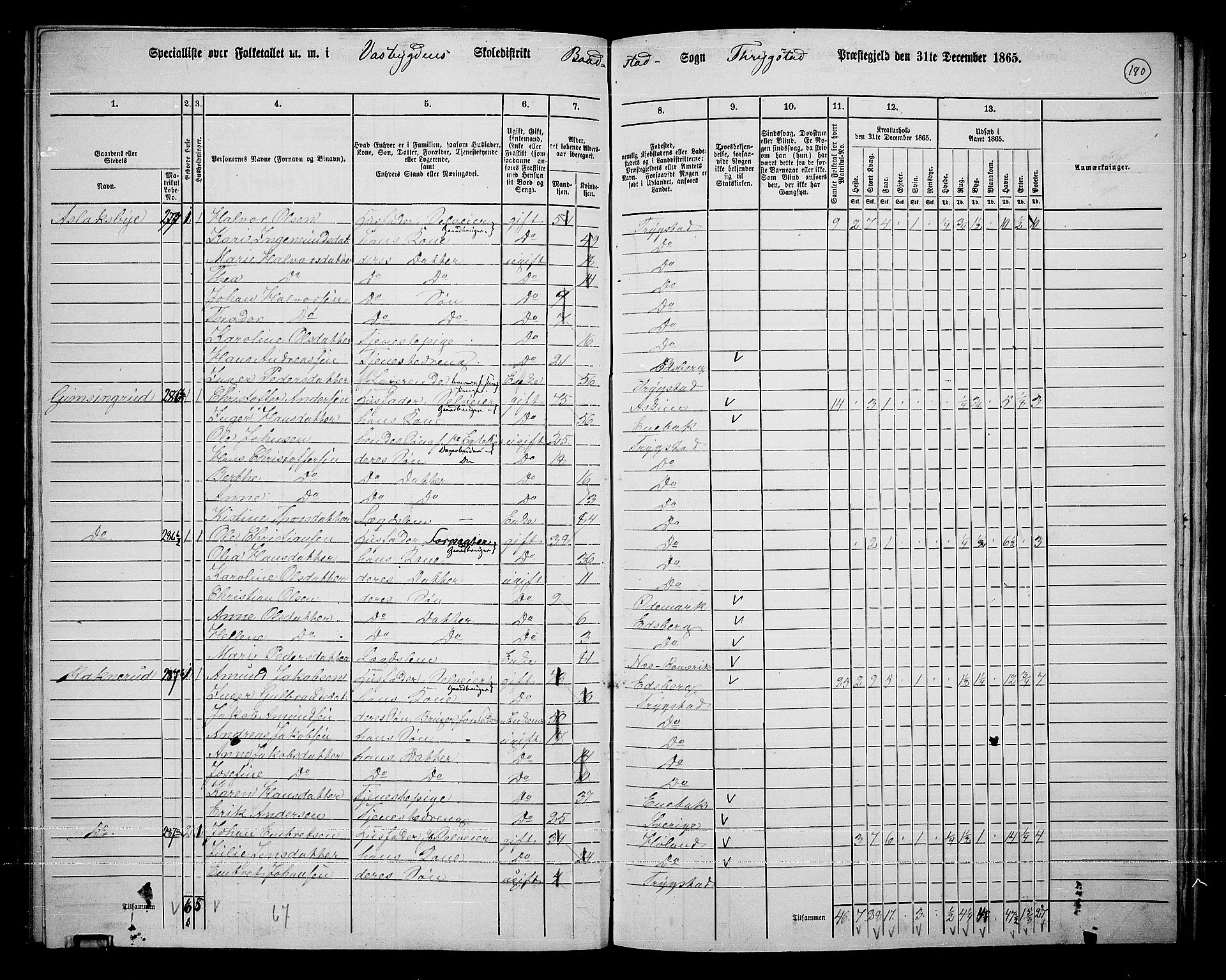 RA, 1865 census for Trøgstad, 1865, p. 160