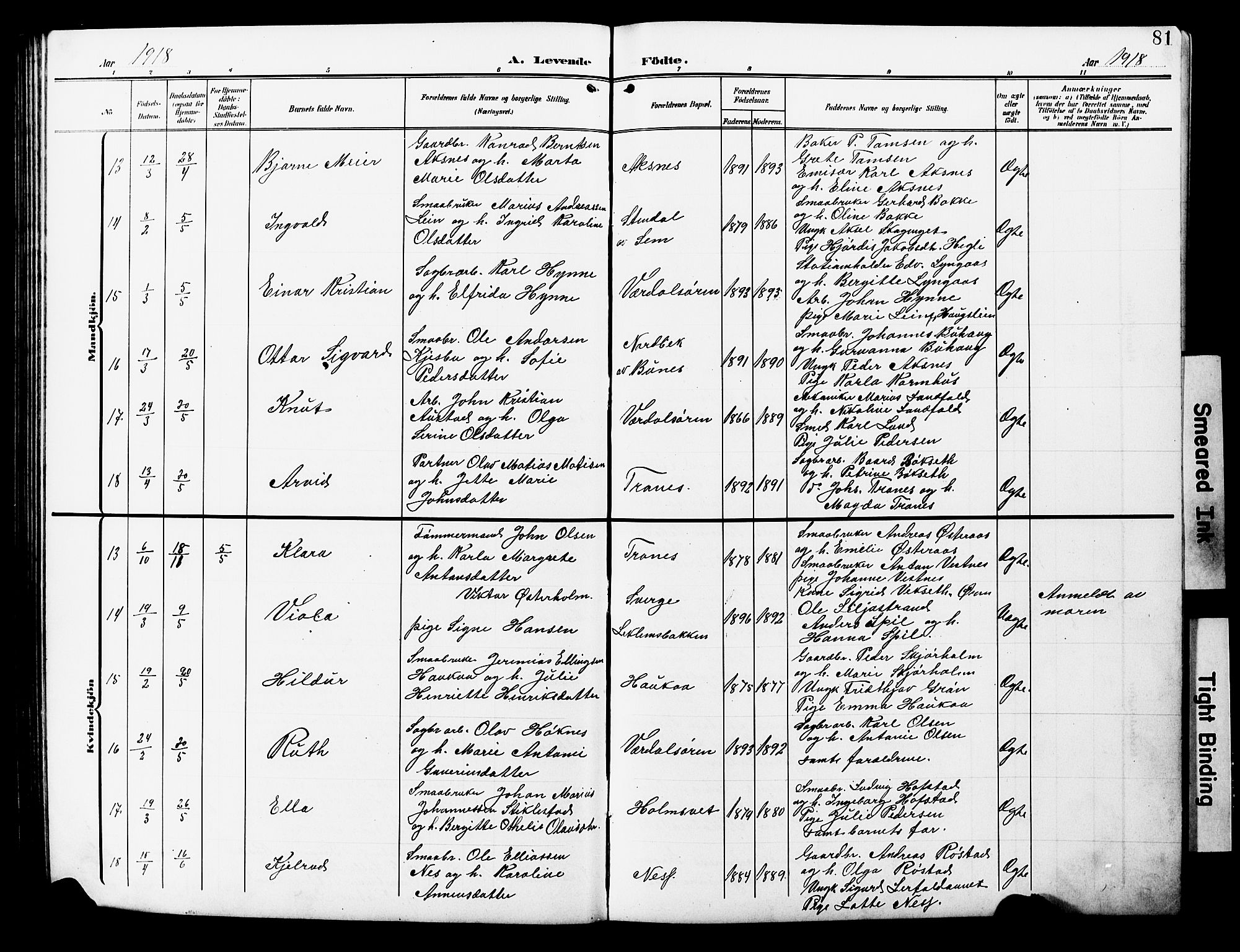 Ministerialprotokoller, klokkerbøker og fødselsregistre - Nord-Trøndelag, AV/SAT-A-1458/723/L0258: Parish register (copy) no. 723C06, 1908-1927, p. 81