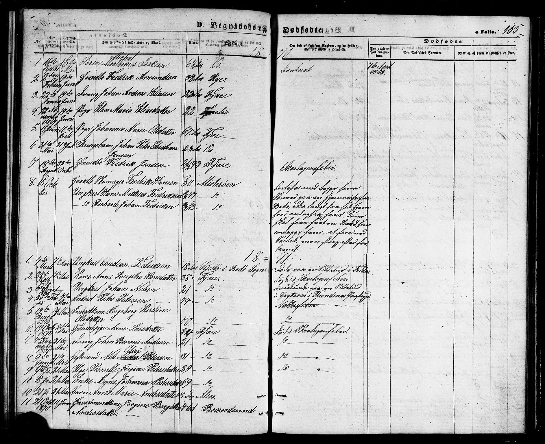 Ministerialprotokoller, klokkerbøker og fødselsregistre - Nordland, SAT/A-1459/803/L0075: Parish register (copy) no. 803C02, 1867-1881, p. 163