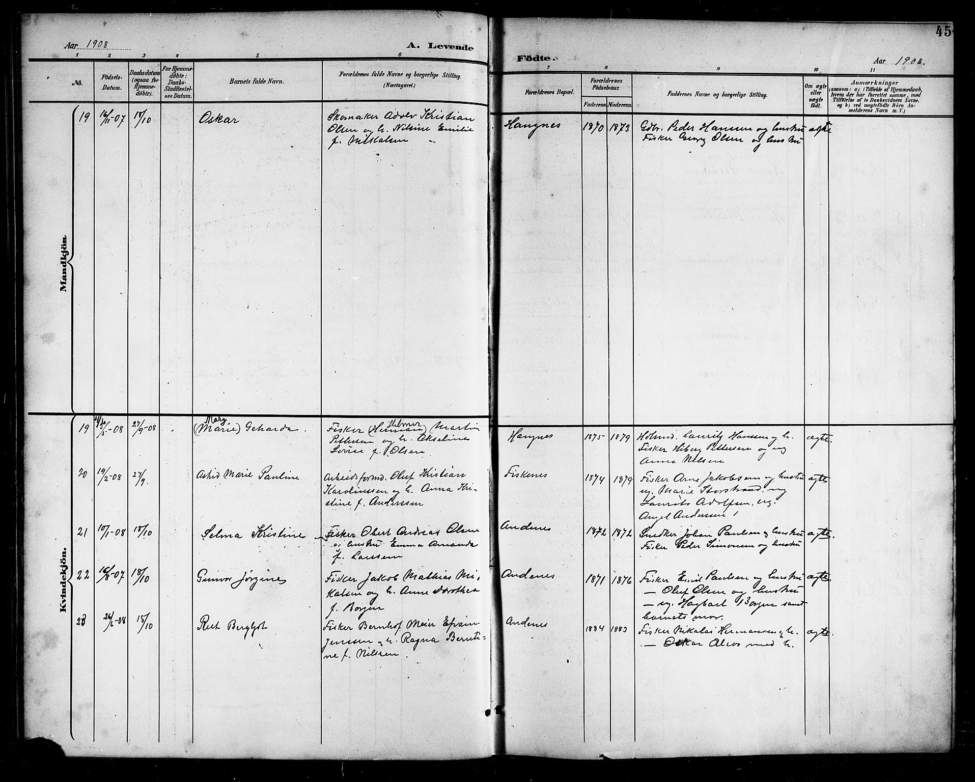 Ministerialprotokoller, klokkerbøker og fødselsregistre - Nordland, AV/SAT-A-1459/899/L1449: Parish register (copy) no. 899C04, 1900-1918, p. 45