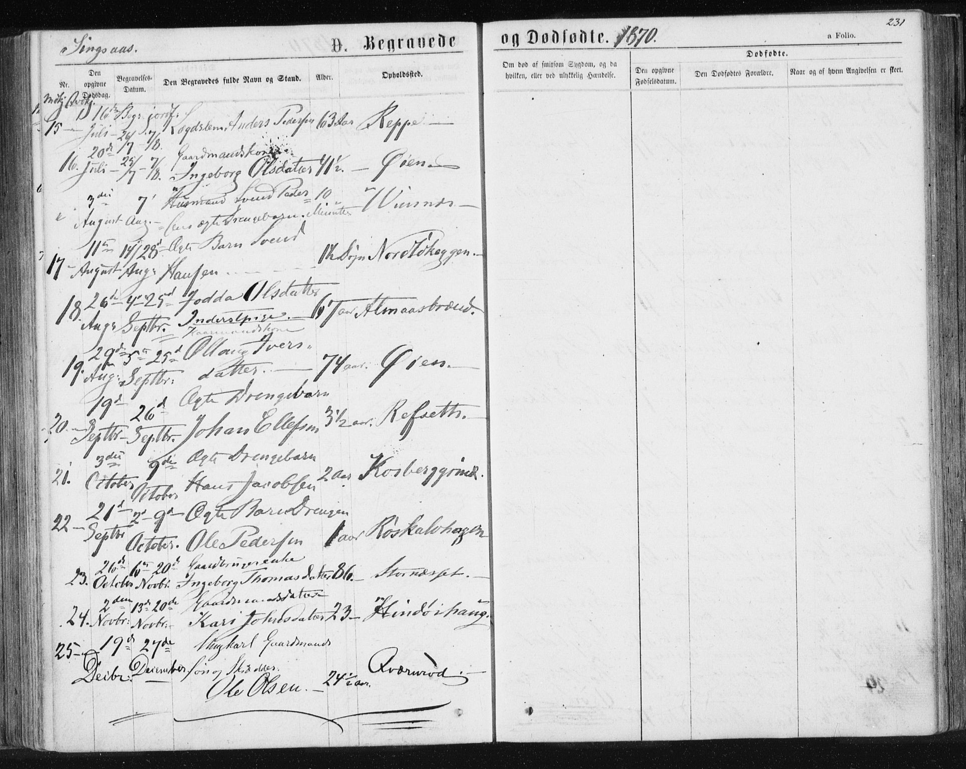 Ministerialprotokoller, klokkerbøker og fødselsregistre - Sør-Trøndelag, AV/SAT-A-1456/685/L0970: Parish register (official) no. 685A08 /2, 1870-1878, p. 231