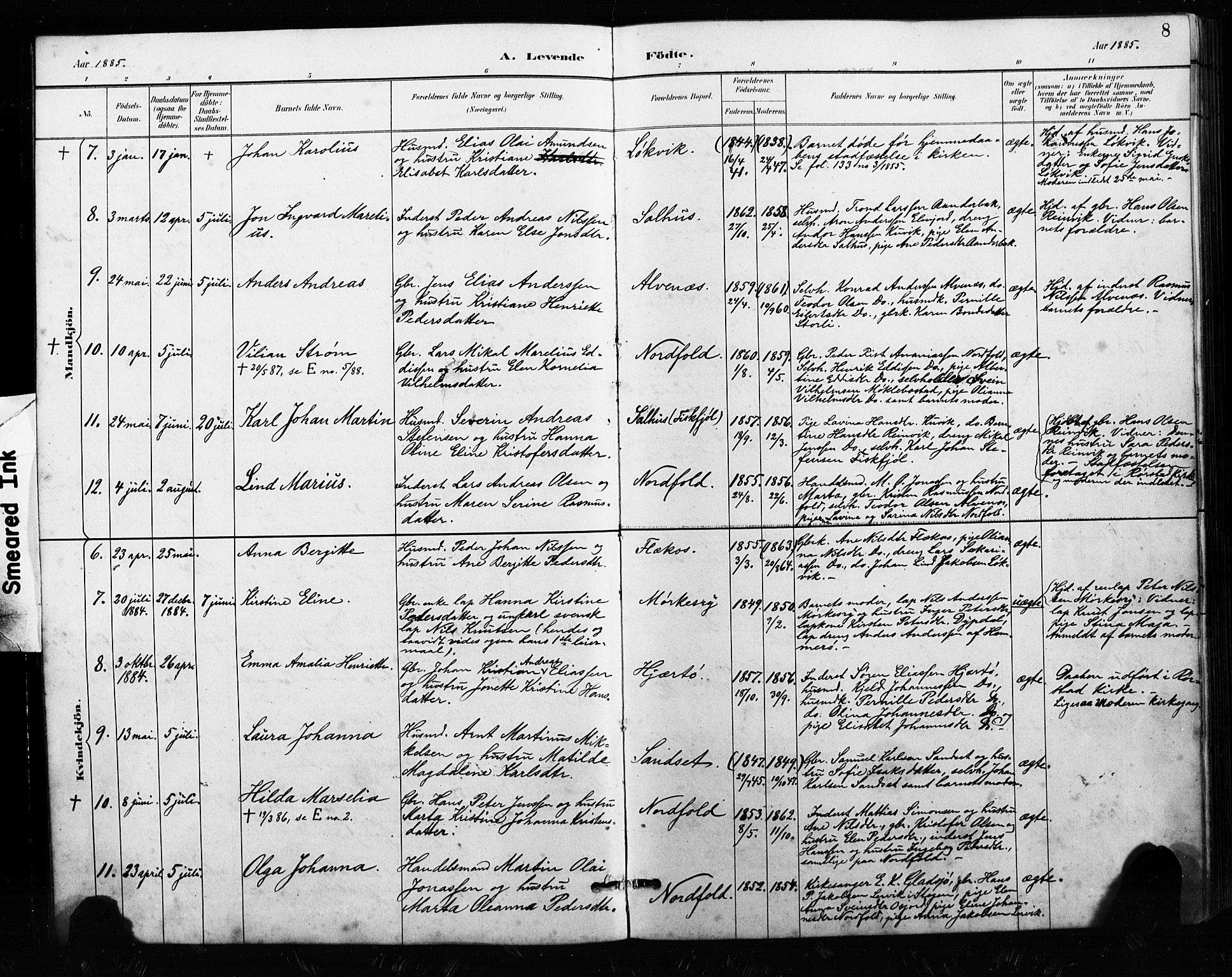 Ministerialprotokoller, klokkerbøker og fødselsregistre - Nordland, AV/SAT-A-1459/858/L0834: Parish register (copy) no. 858C01, 1884-1904, p. 8