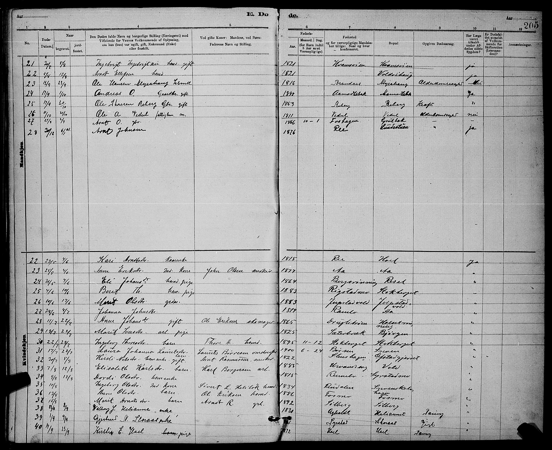 Ministerialprotokoller, klokkerbøker og fødselsregistre - Sør-Trøndelag, AV/SAT-A-1456/672/L0863: Parish register (copy) no. 672C02, 1888-1901, p. 205