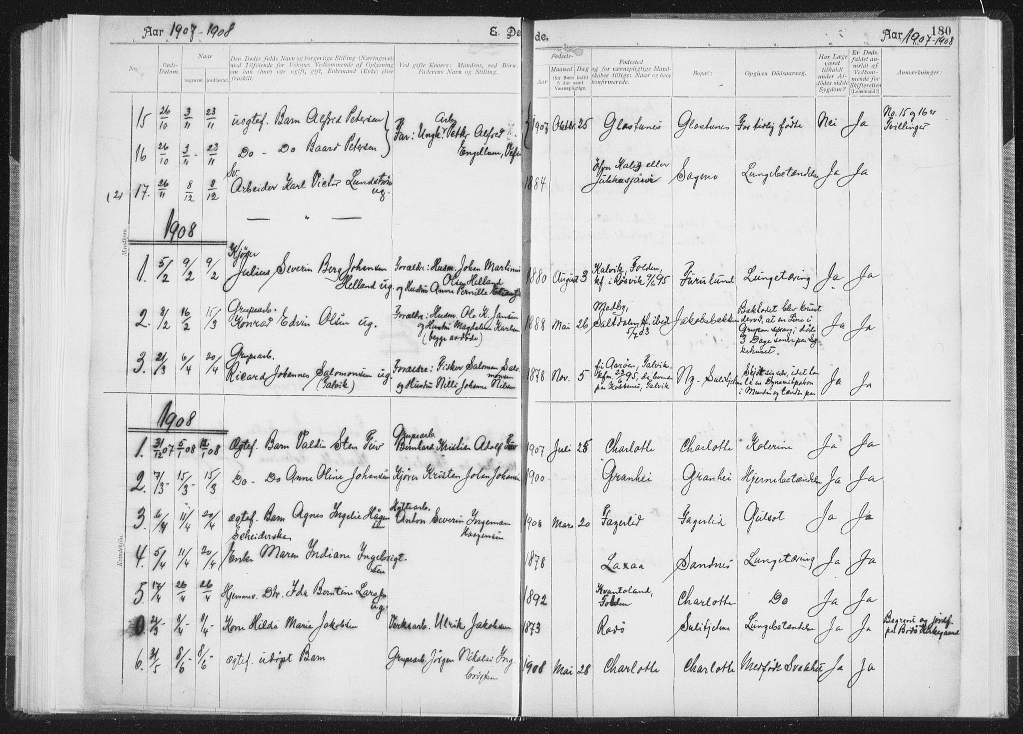 Ministerialprotokoller, klokkerbøker og fødselsregistre - Nordland, SAT/A-1459/850/L0711: Curate's parish register no. 850B01, 1902-1915, p. 180