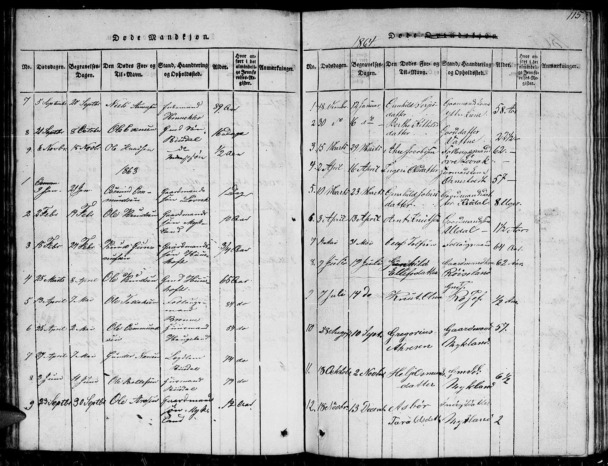 Herefoss sokneprestkontor, AV/SAK-1111-0019/F/Fb/Fbc/L0001: Parish register (copy) no. B 1, 1816-1866, p. 115