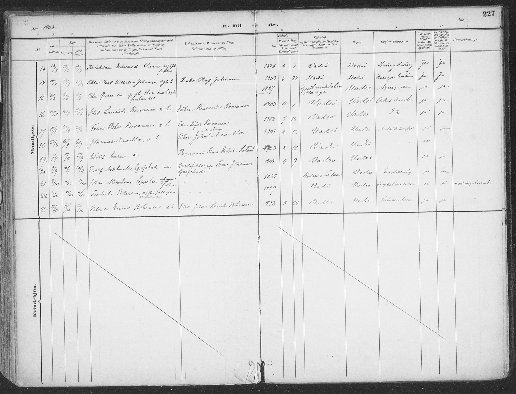 Vadsø sokneprestkontor, SATØ/S-1325/H/Ha/L0007kirke: Parish register (official) no. 7, 1896-1916, p. 227