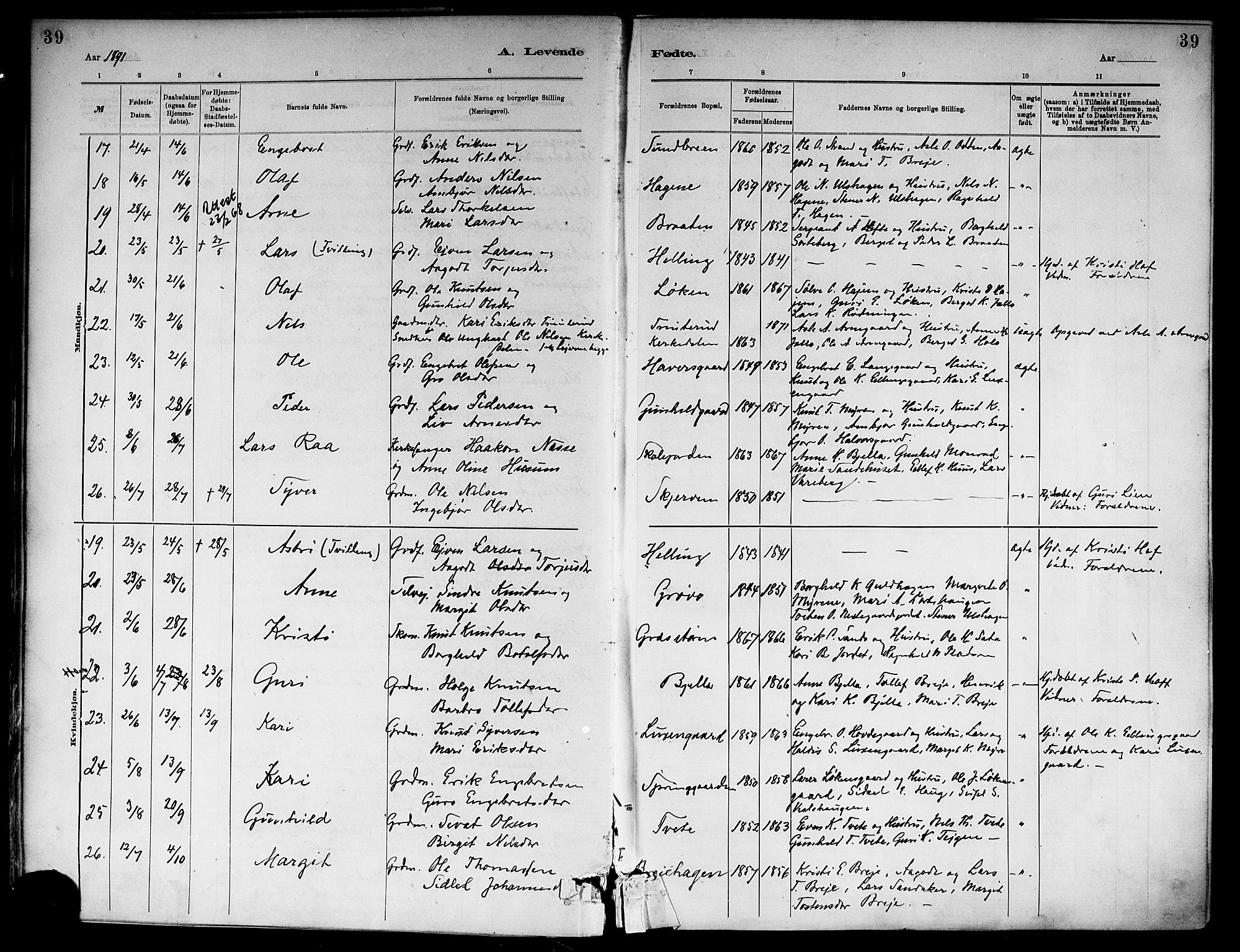 Ål kirkebøker, AV/SAKO-A-249/F/Fa/L0008: Parish register (official) no. I 8, 1882-1896, p. 39
