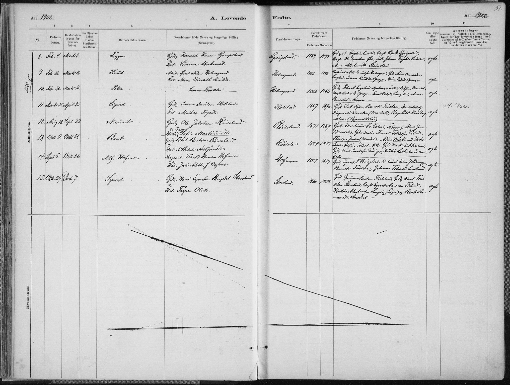 Holum sokneprestkontor, SAK/1111-0022/F/Fa/Faa/L0007: Parish register (official) no. A 7, 1884-1907, p. 51
