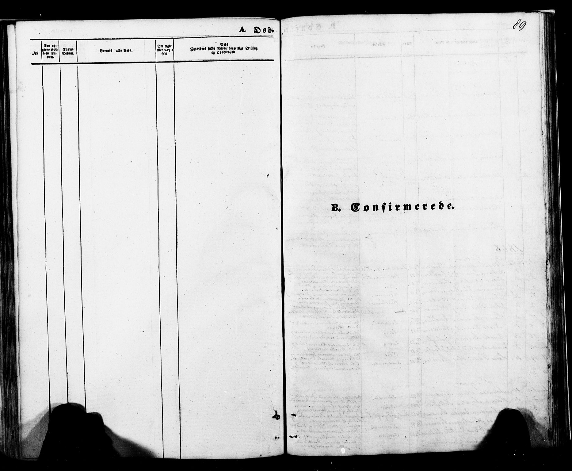 Ministerialprotokoller, klokkerbøker og fødselsregistre - Nordland, SAT/A-1459/898/L1421: Parish register (official) no. 898A01, 1866-1886, p. 89