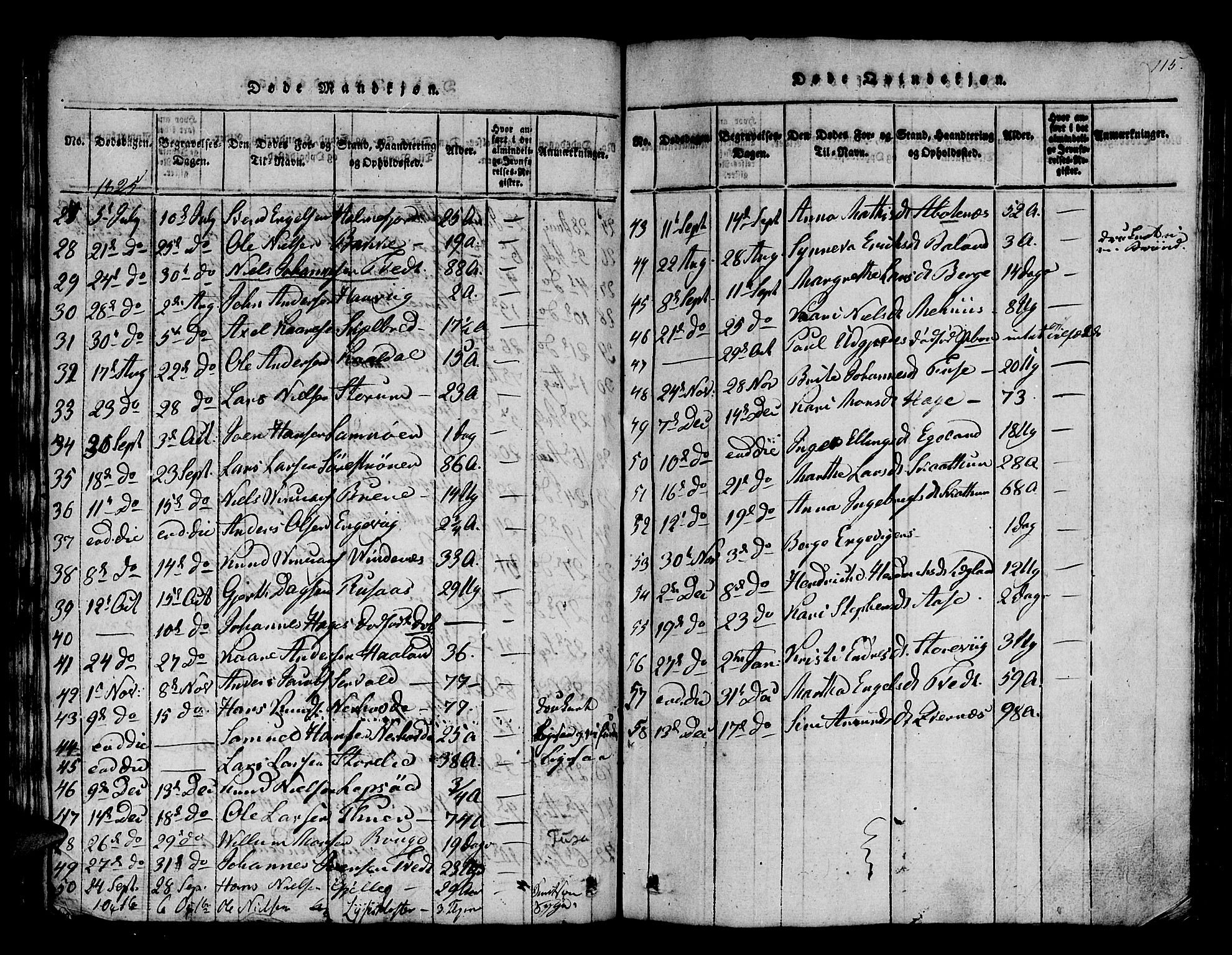 Os sokneprestembete, SAB/A-99929: Parish register (official) no. A 12, 1816-1825, p. 115