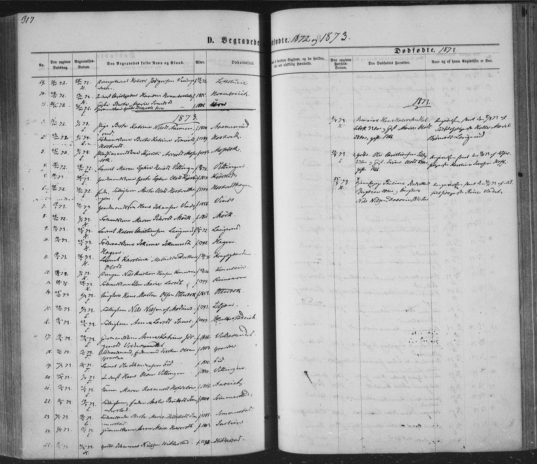 Sandsvær kirkebøker, SAKO/A-244/F/Fa/L0007: Parish register (official) no. I 7, 1869-1877, p. 317